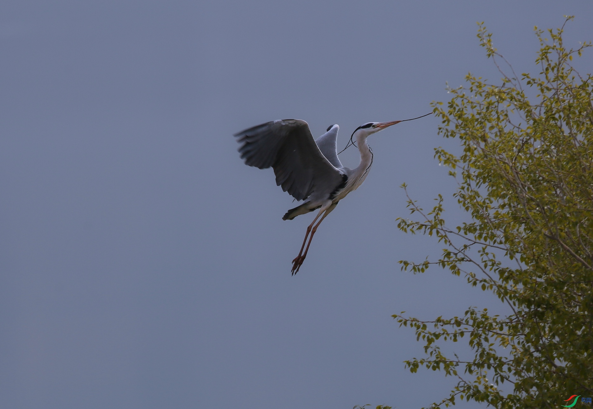 X39A4163 - ����.JPG