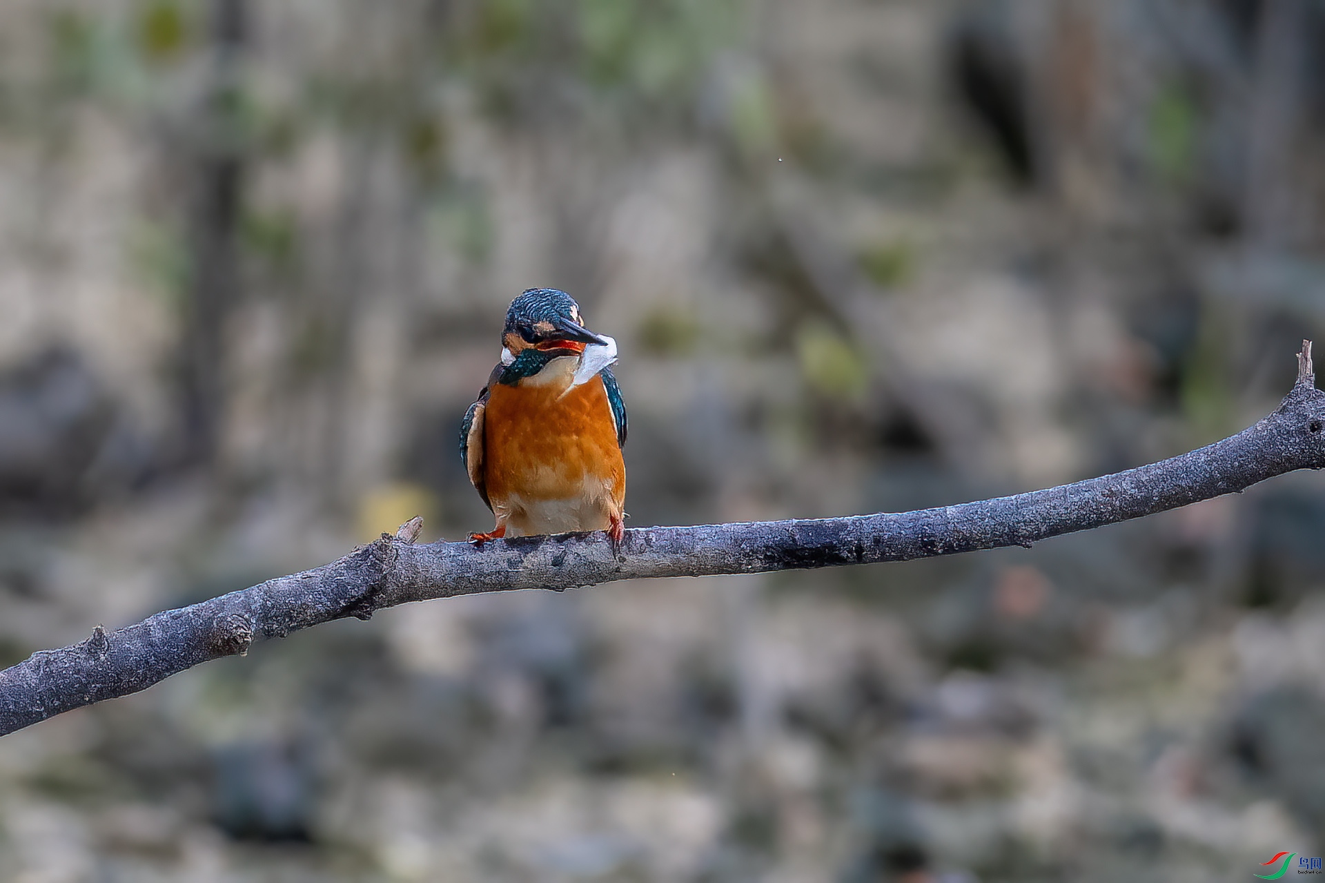 DSC_0128.jpg
