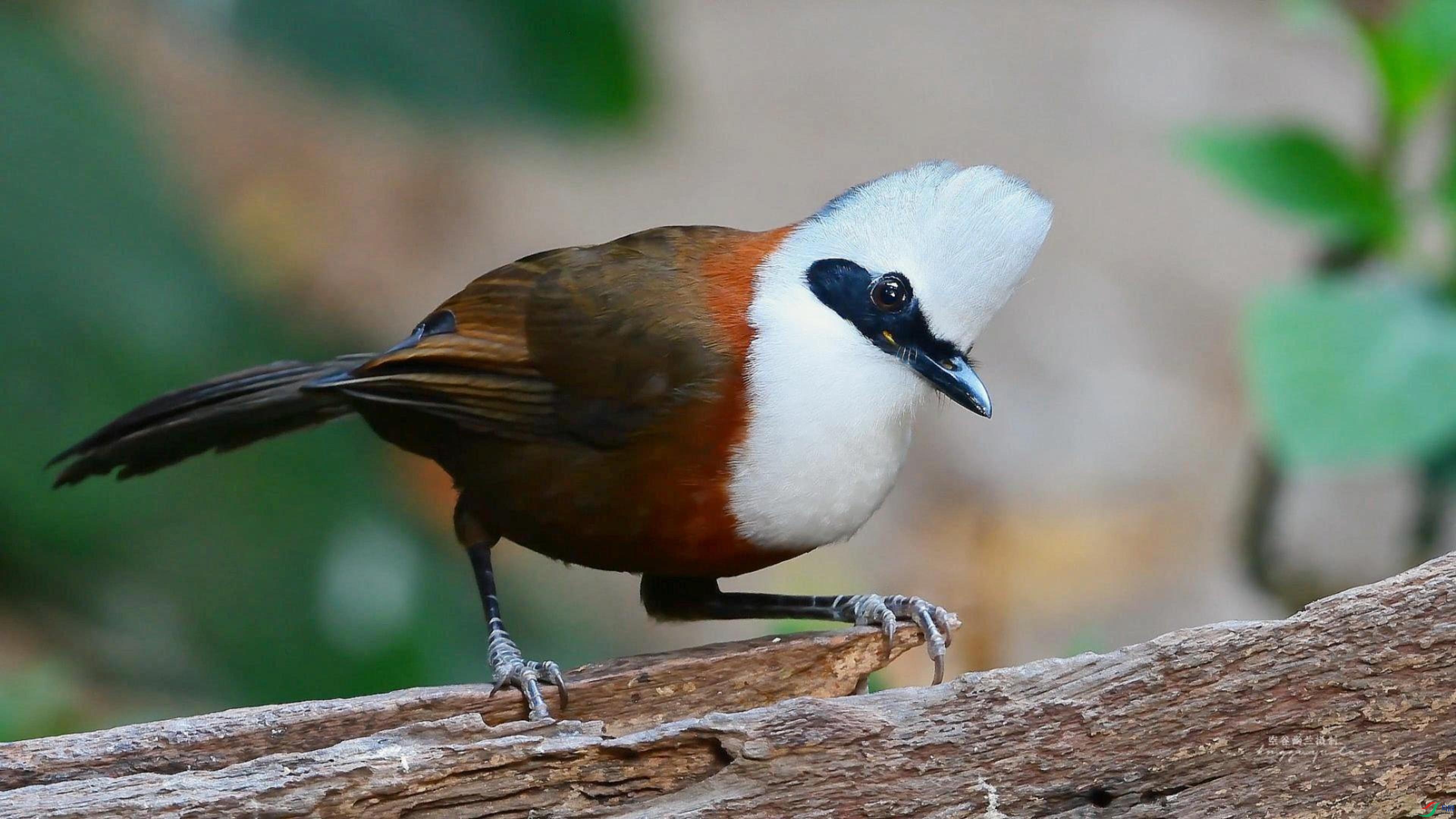 11��30�� (1)-����.jpg