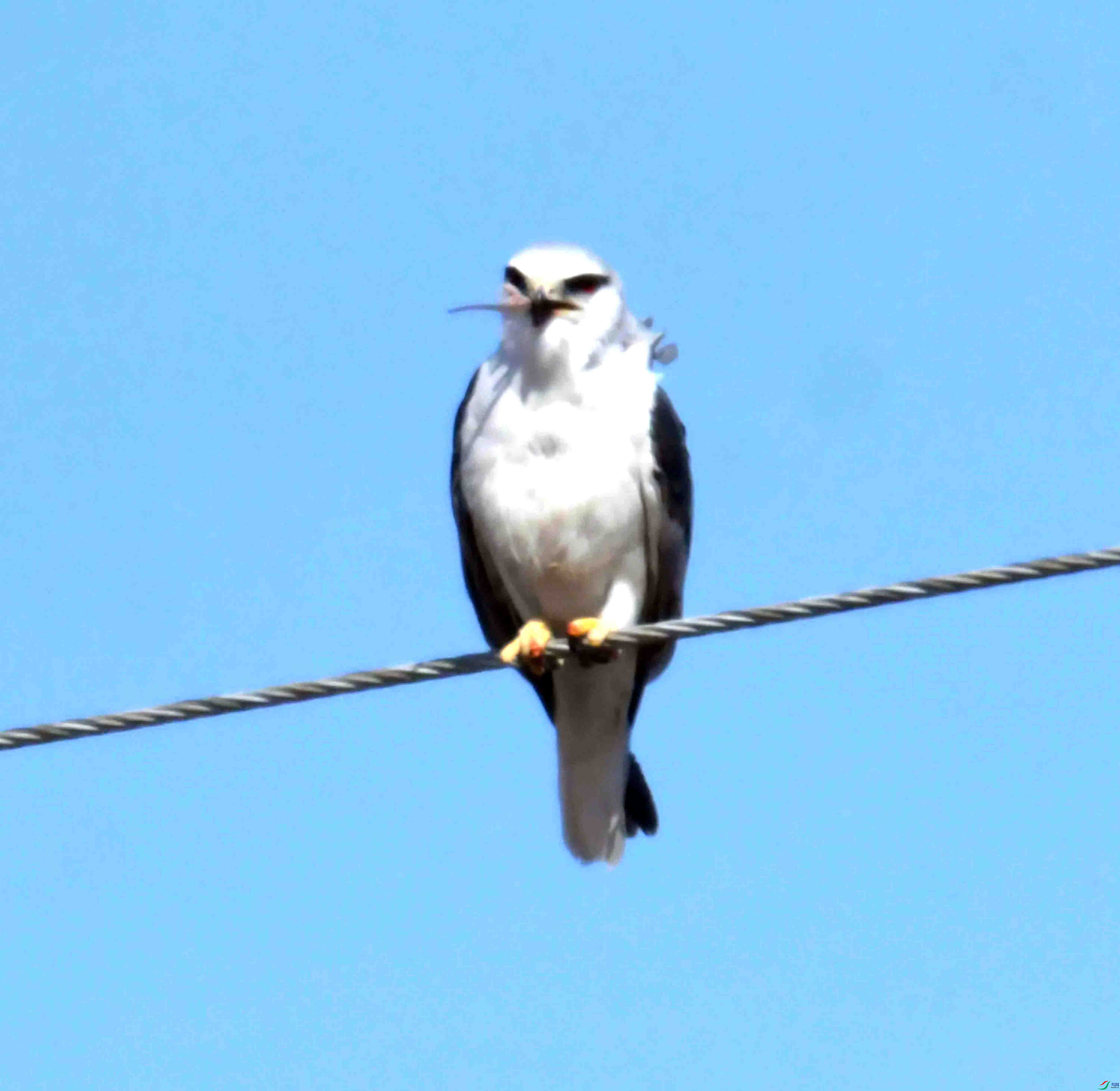 DSC_8517.JPG
