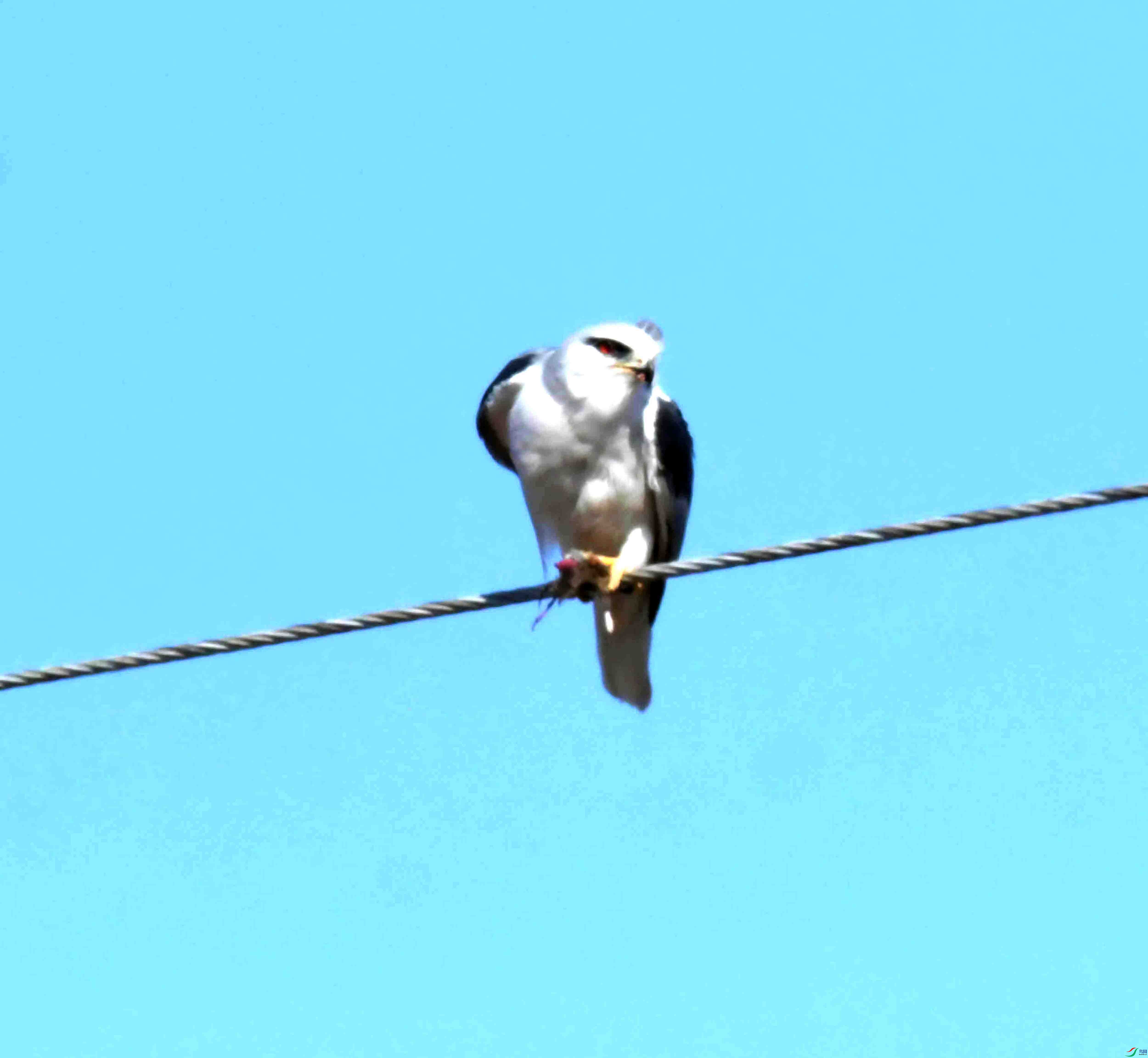 DSC_8508.JPG