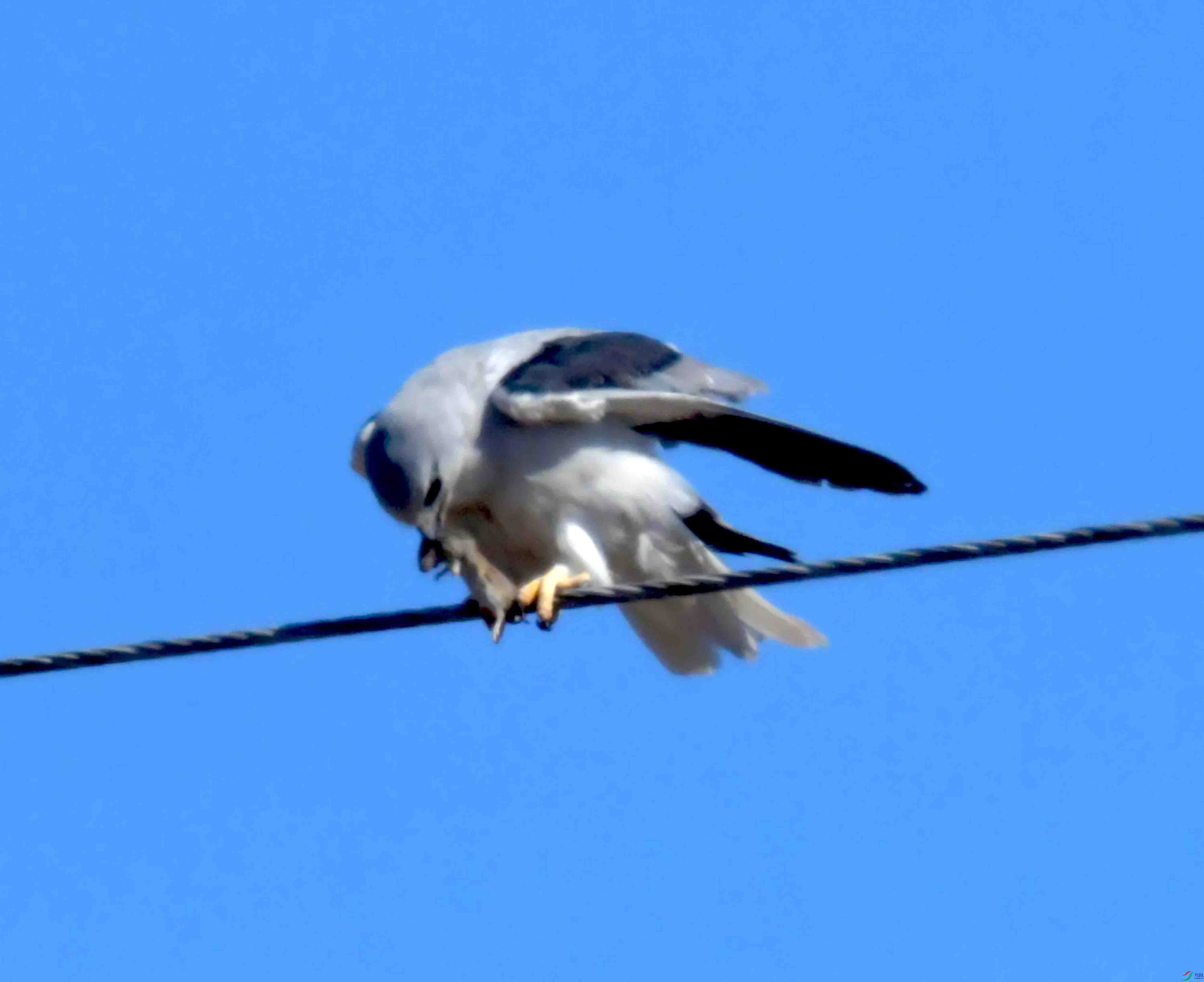 DSC_8691.JPG