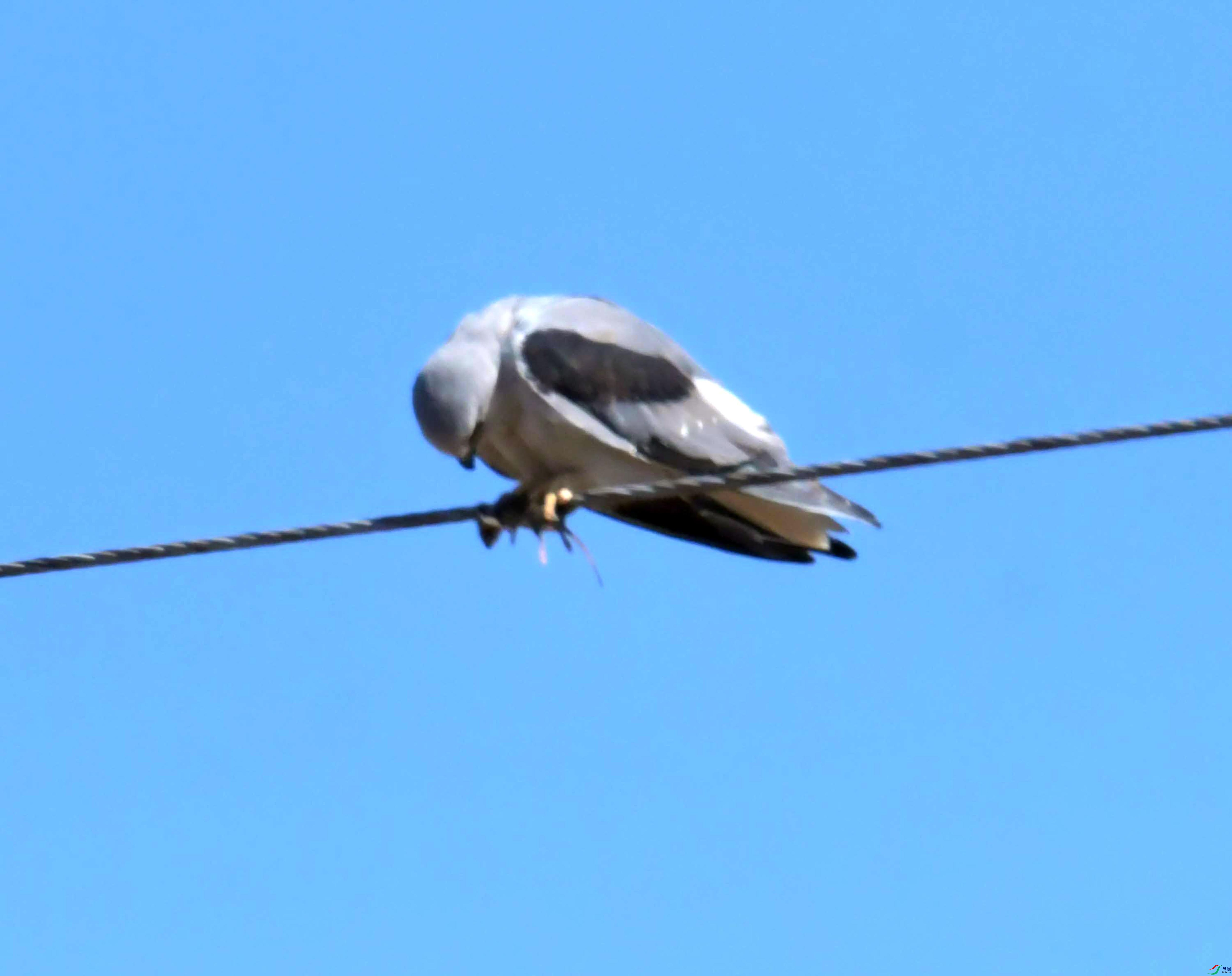 DSC_8709.JPG