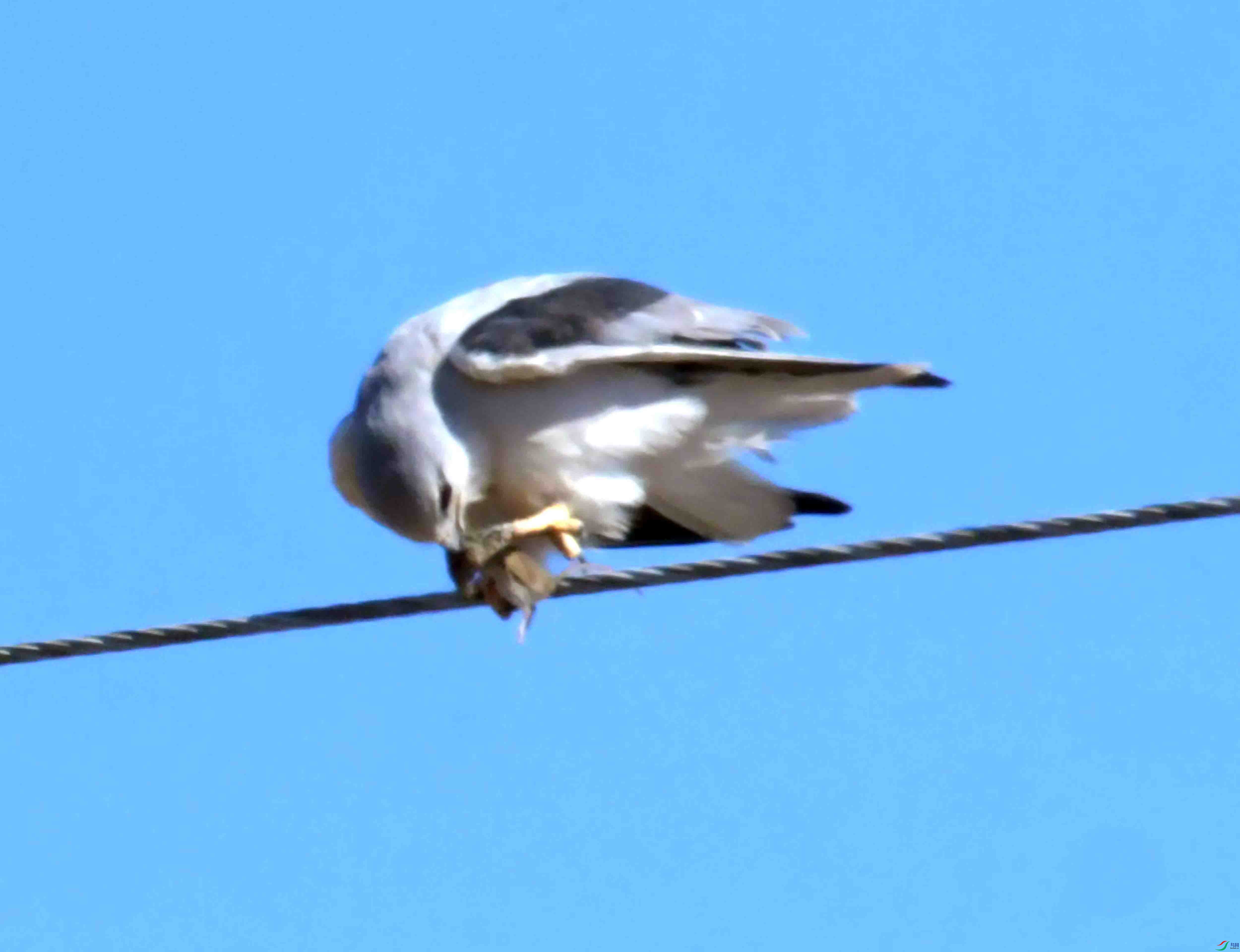 DSC_8693.JPG