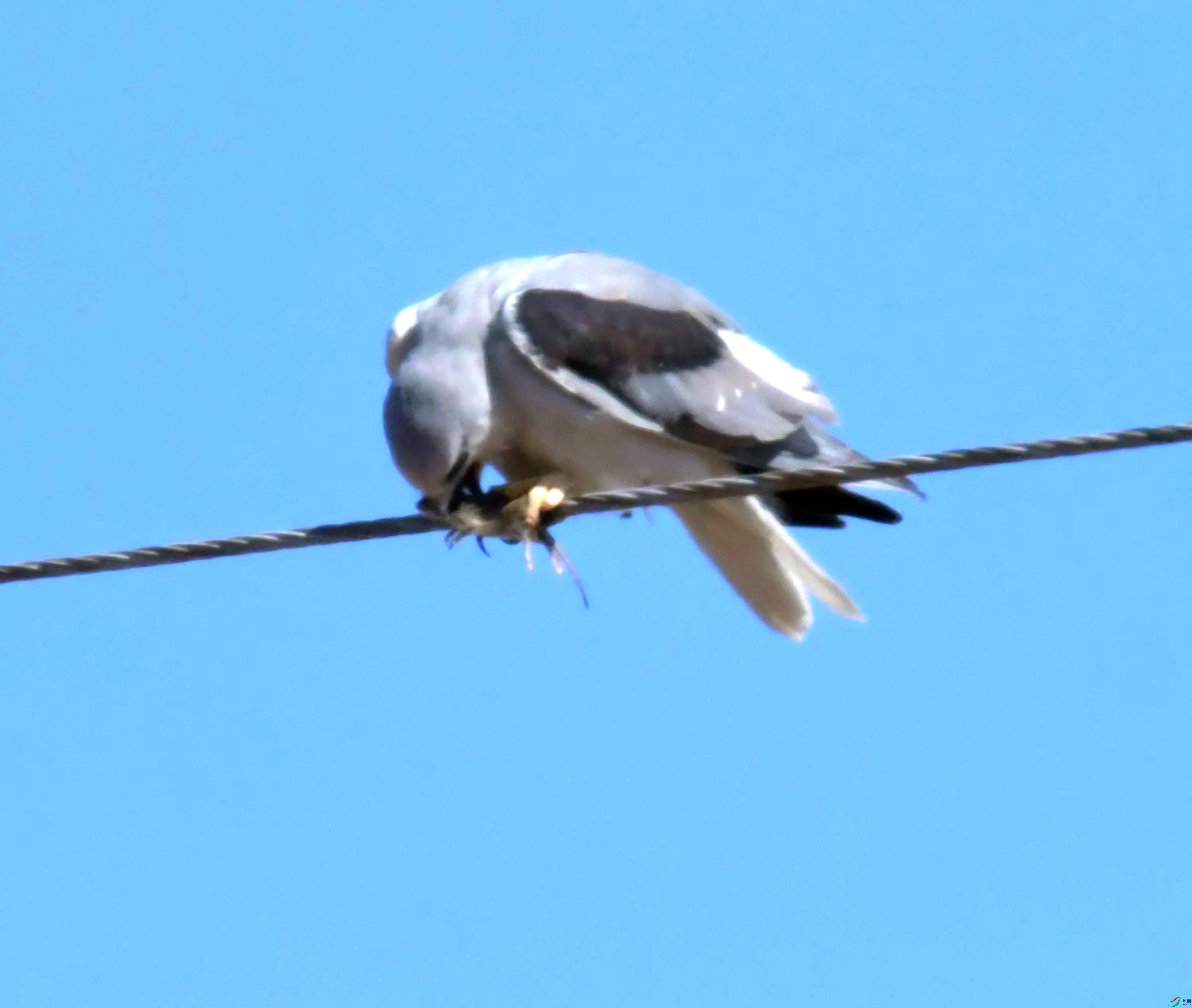 DSC_8710.JPG