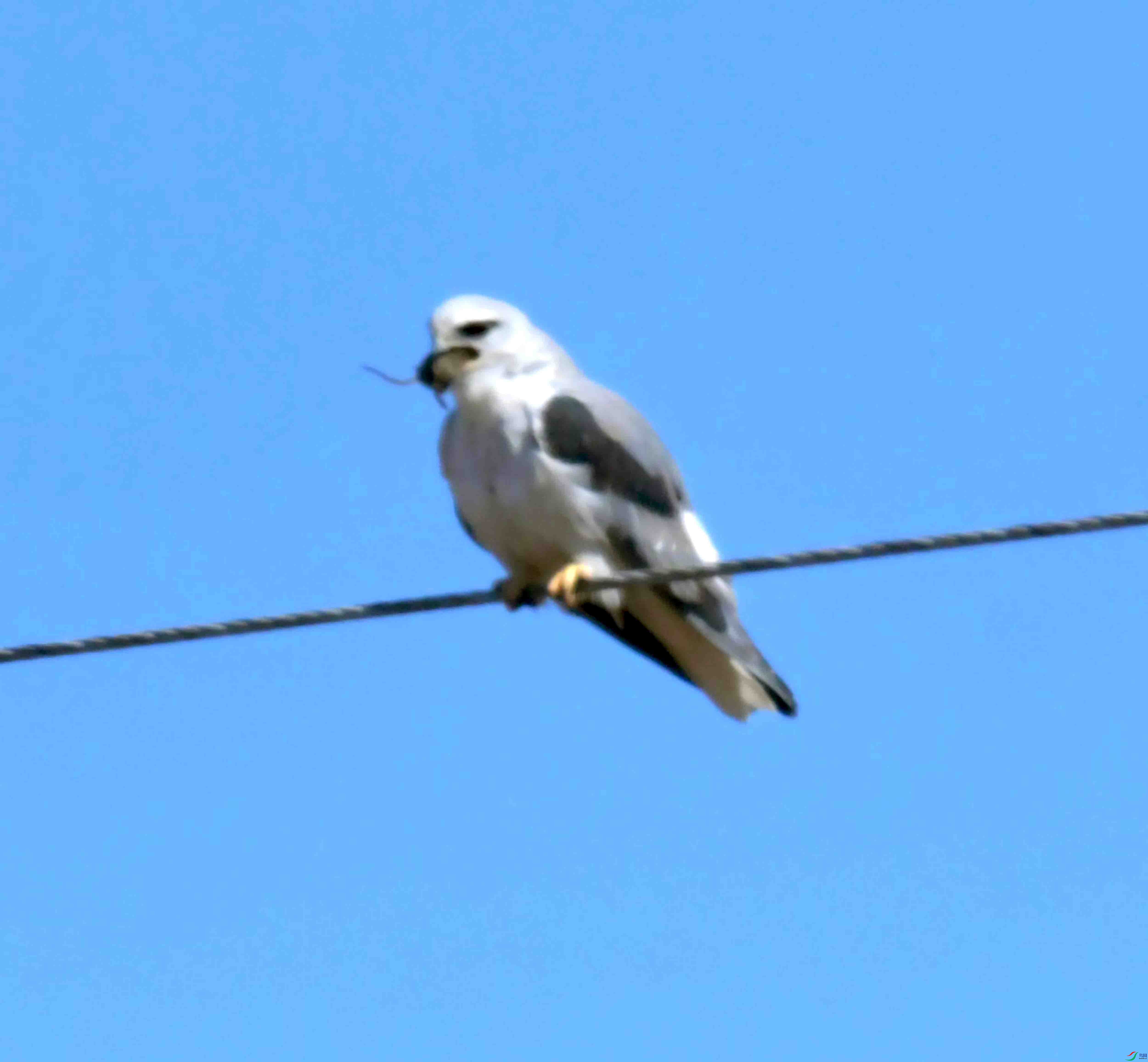 DSC_8718.JPG