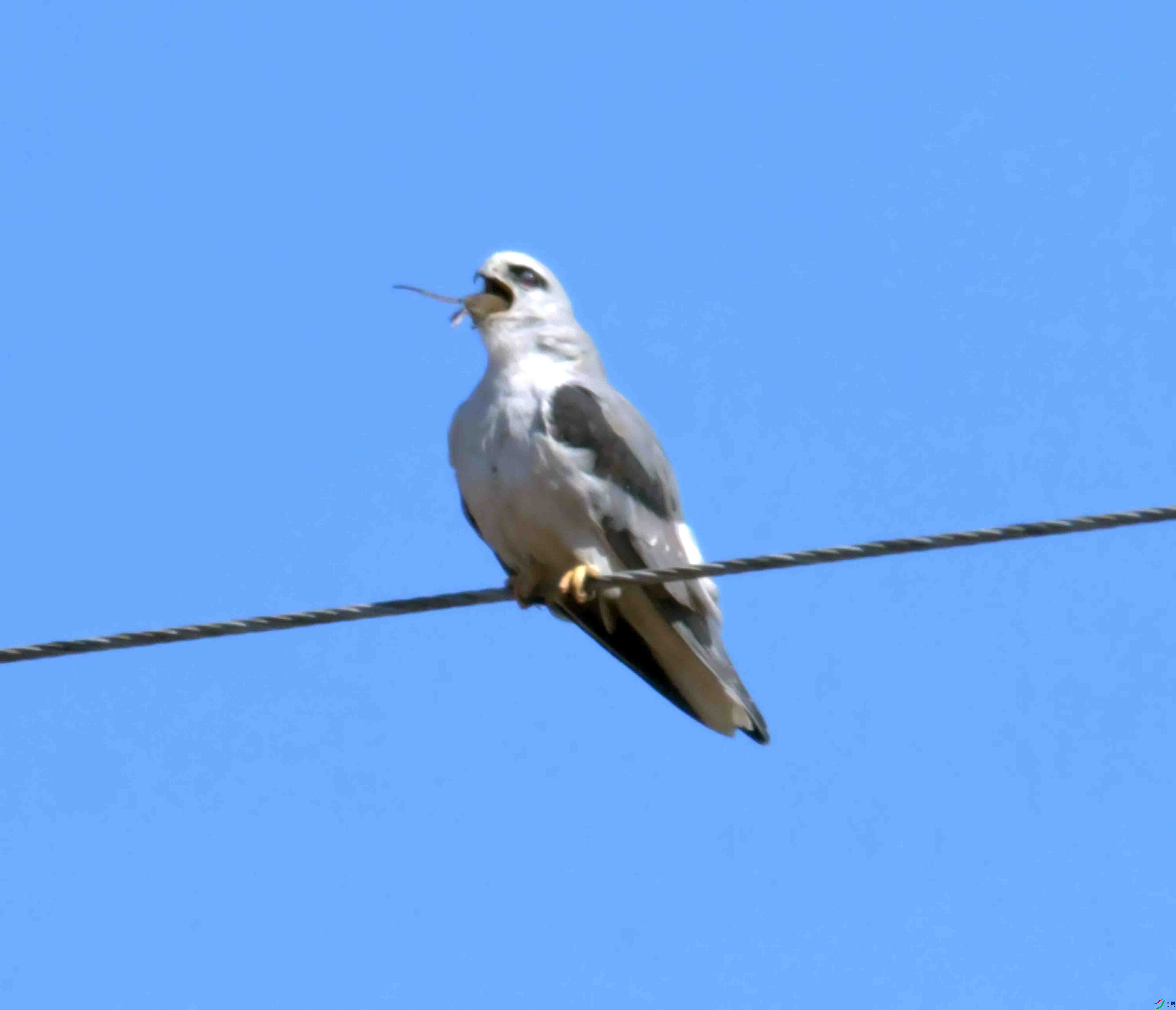 DSC_8720.JPG