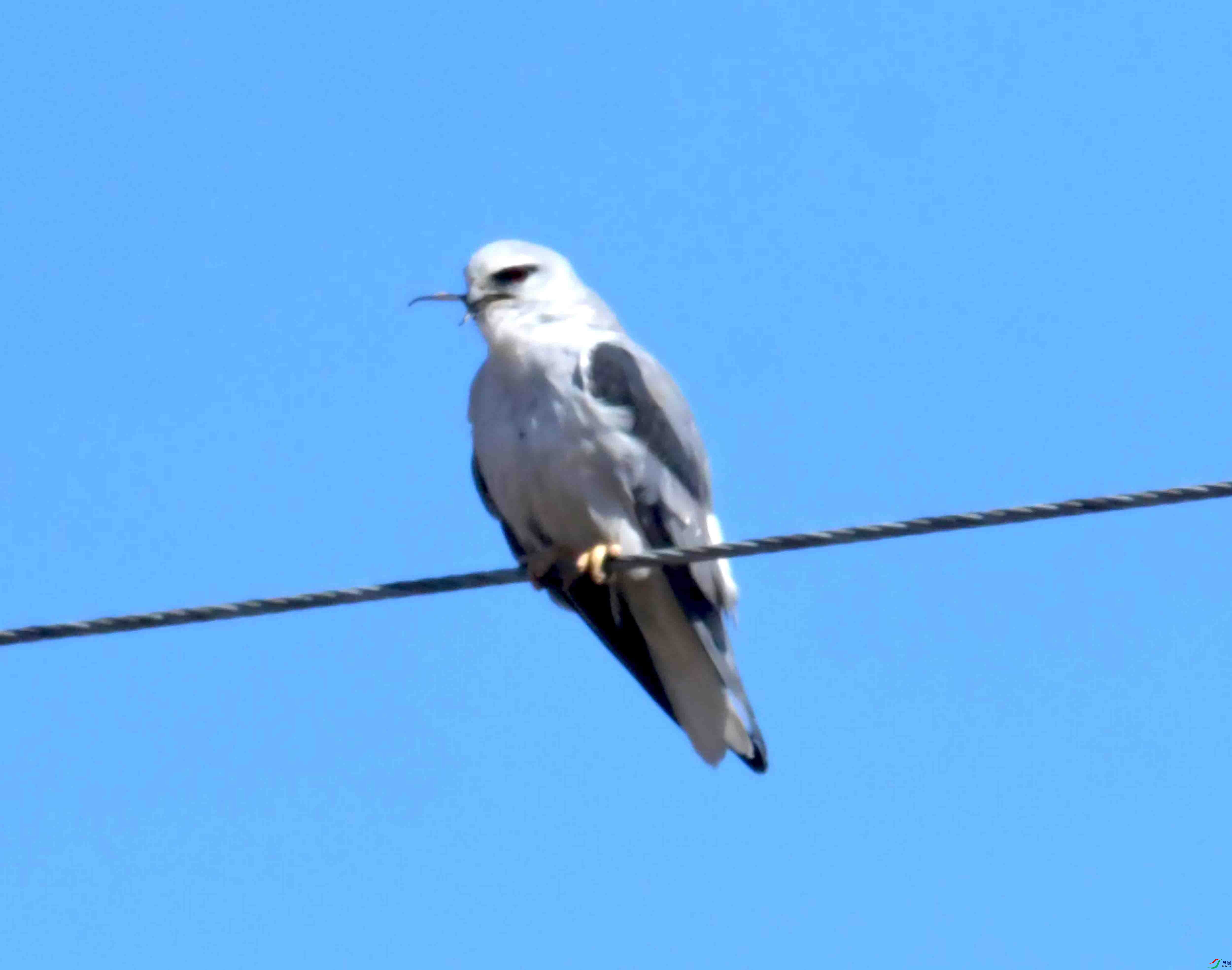 DSC_8721.JPG