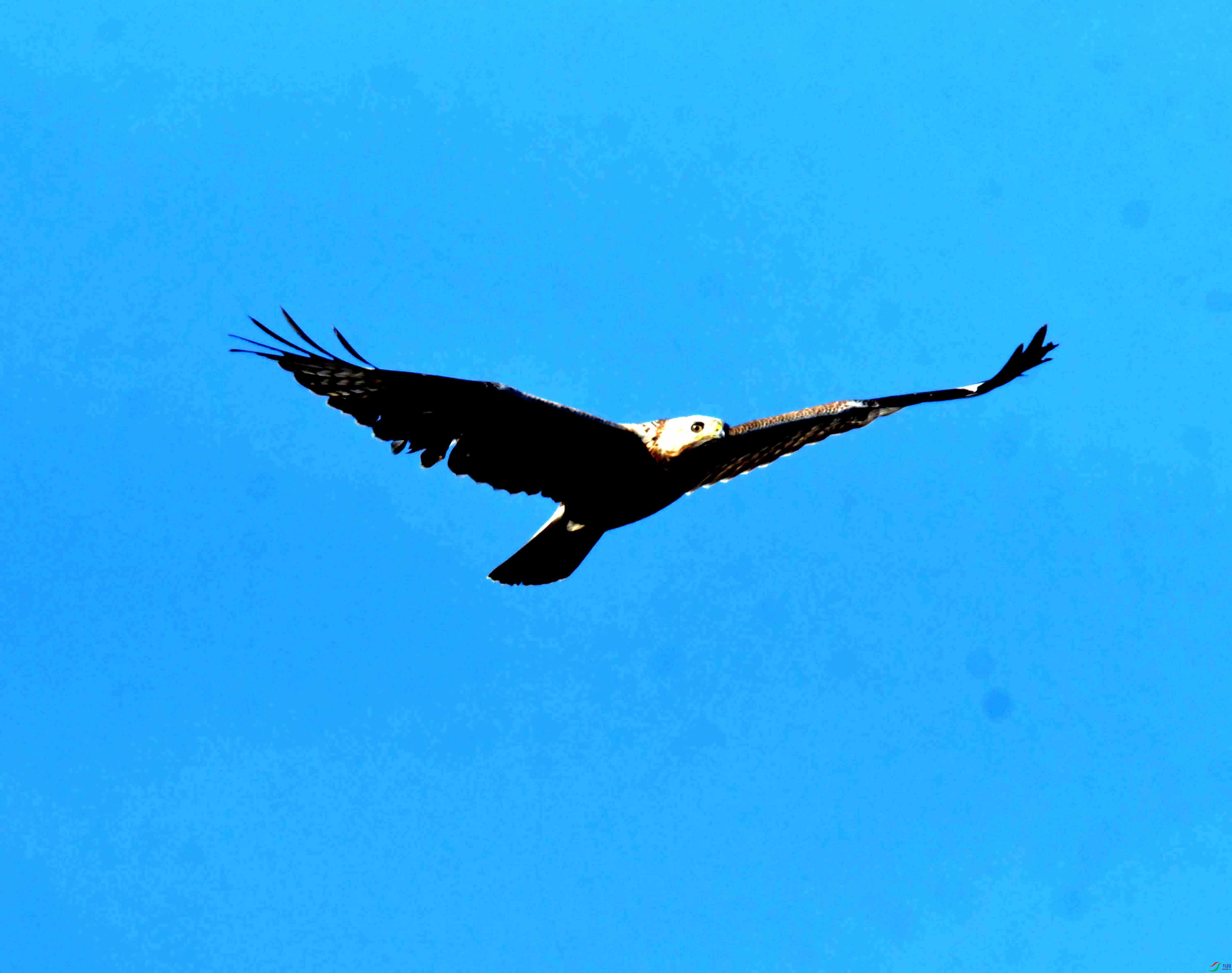 DSC_2513.JPG
