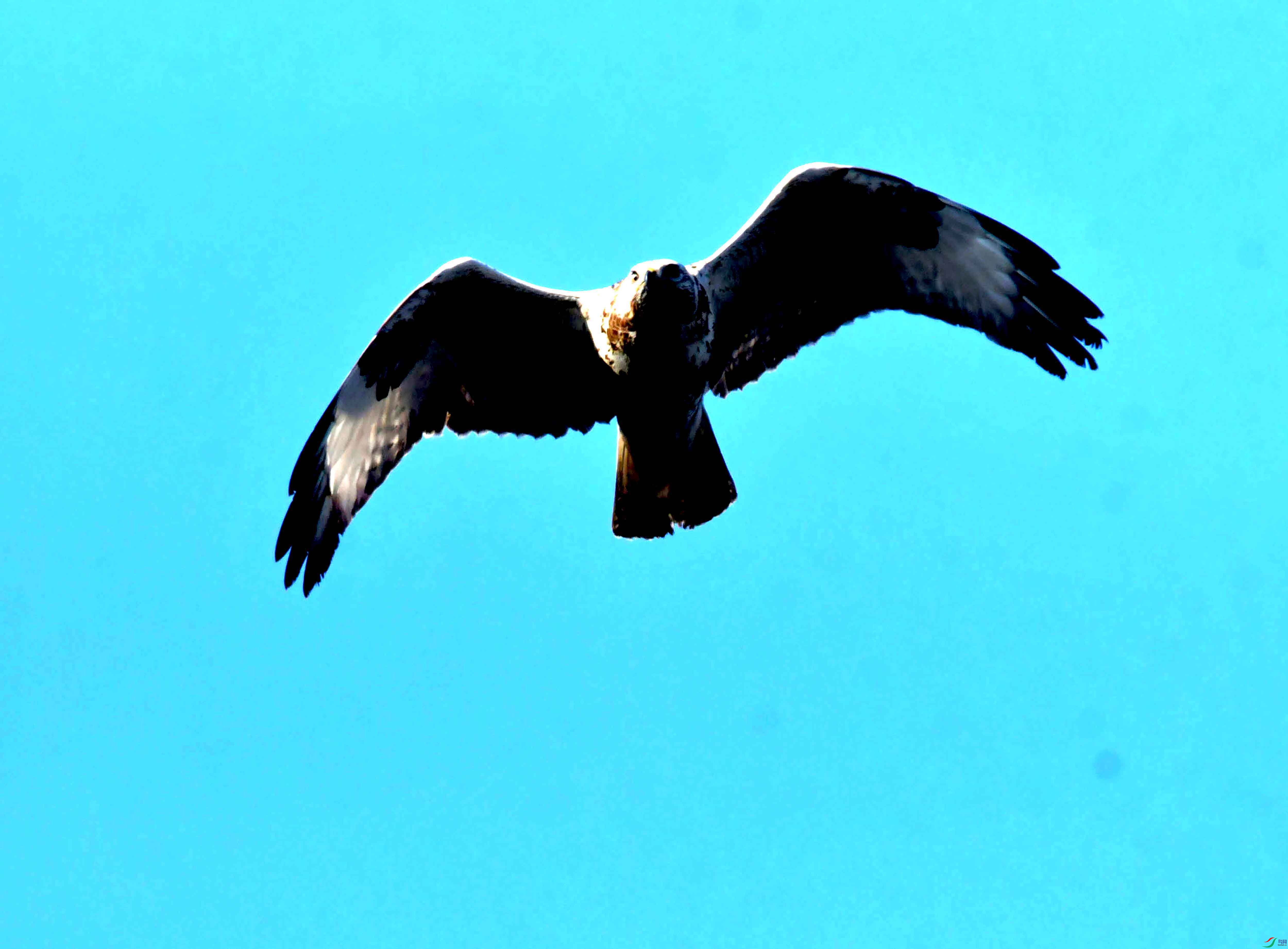 DSC_2517.JPG