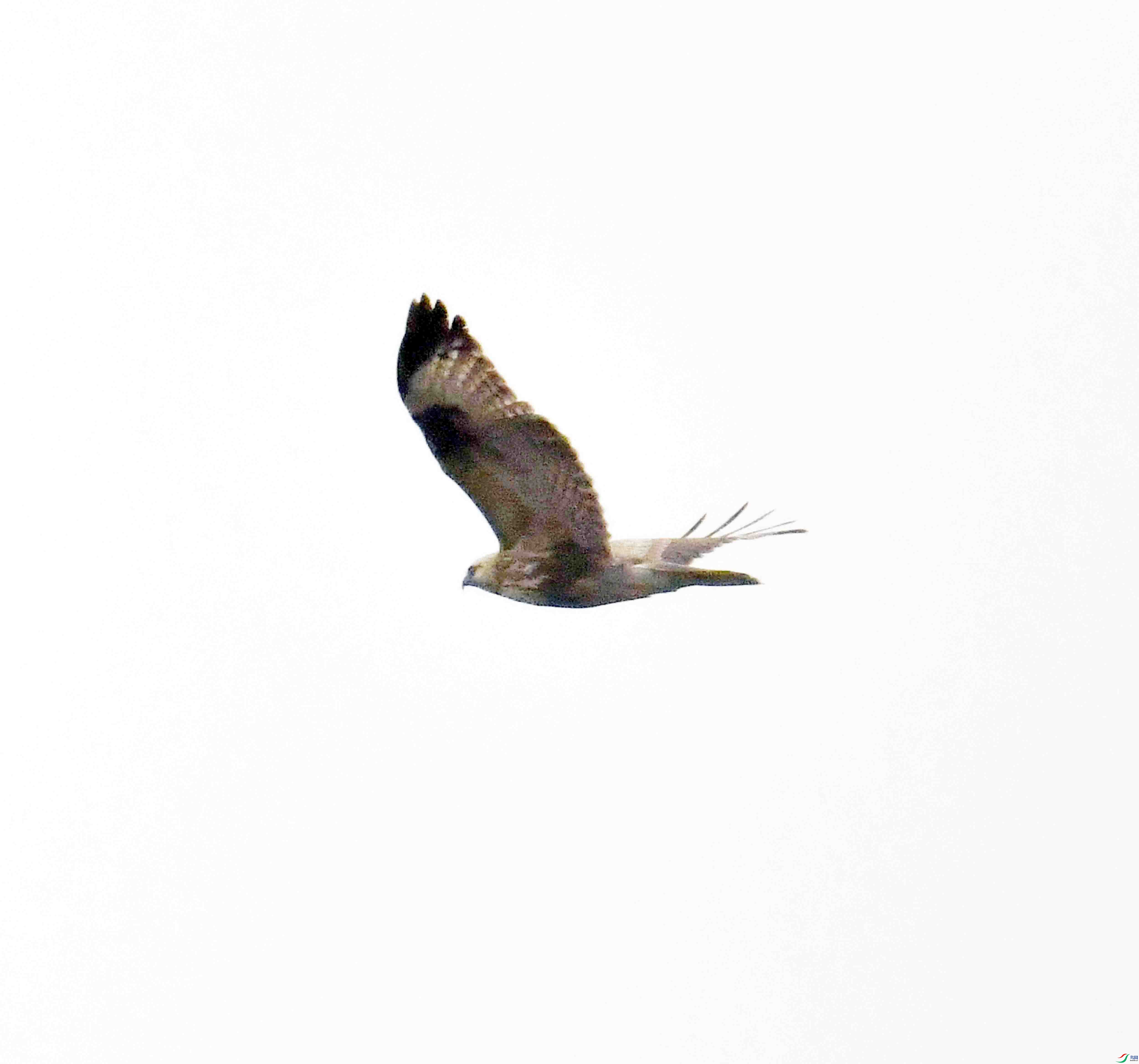 DSC_7585.JPG