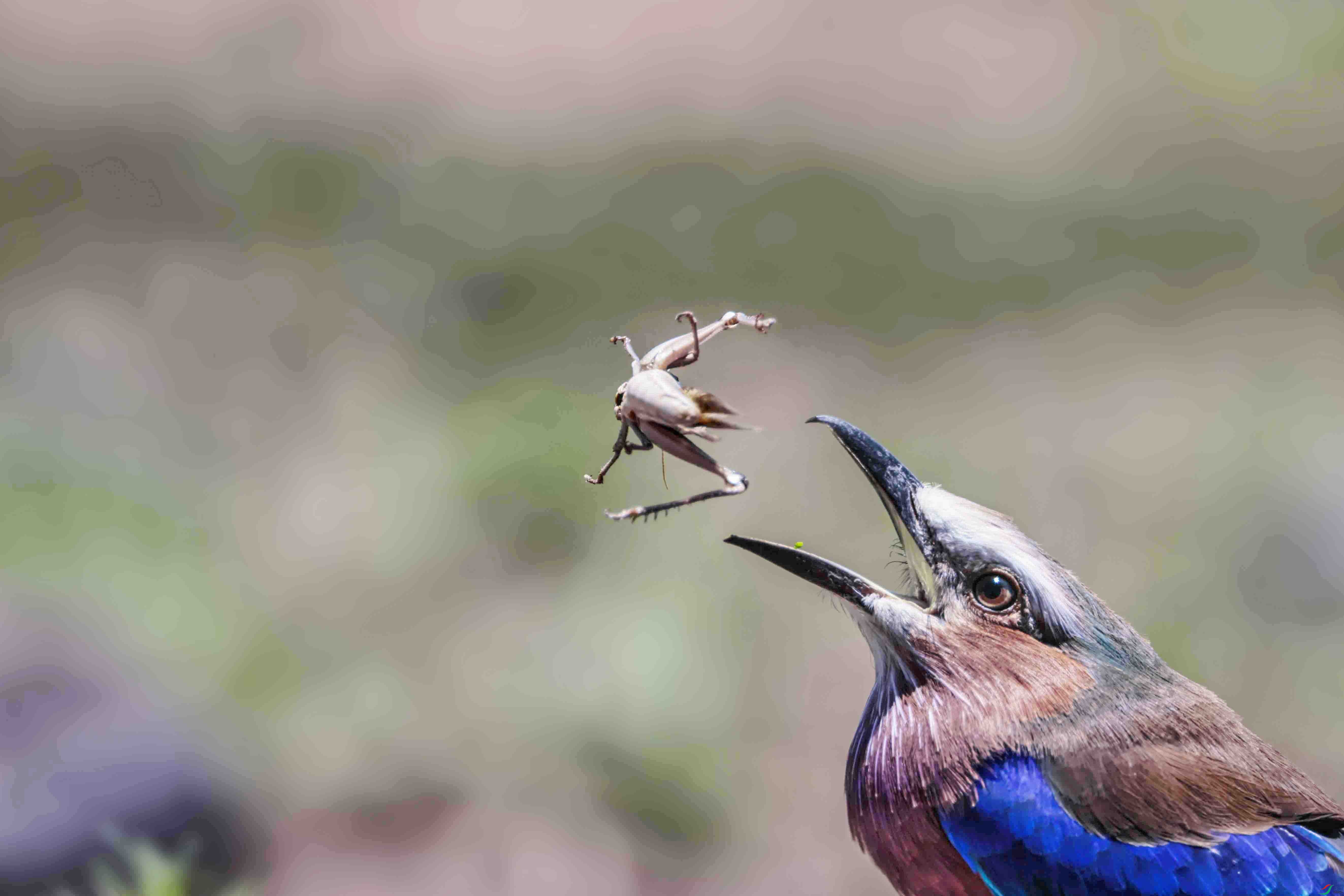 ���ط�ɮϷ���� ����.jpg