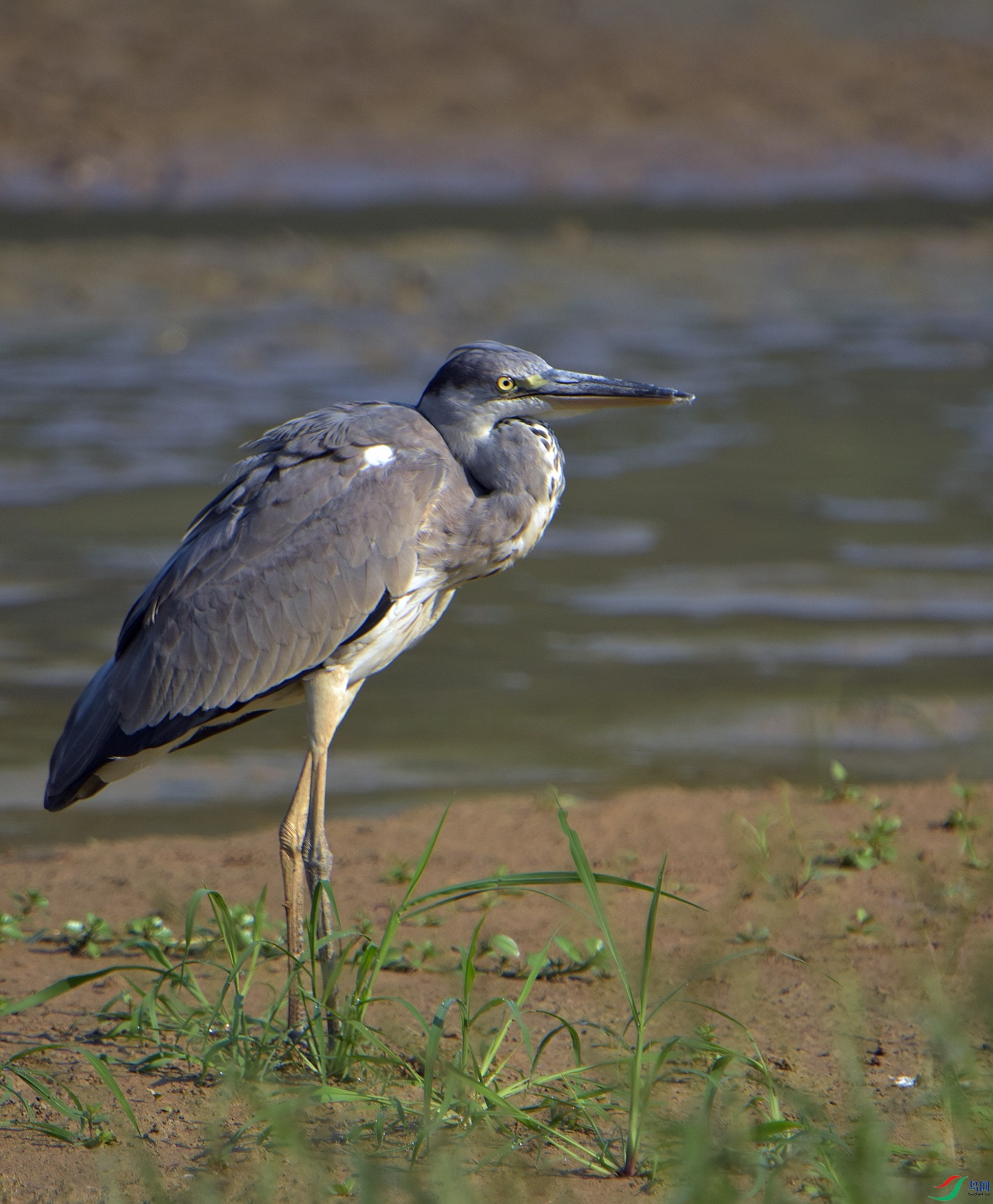 D72_5068.jpg