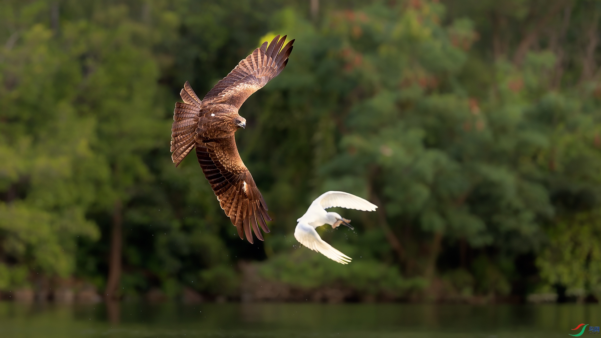 �������ǻ۱�ƴ