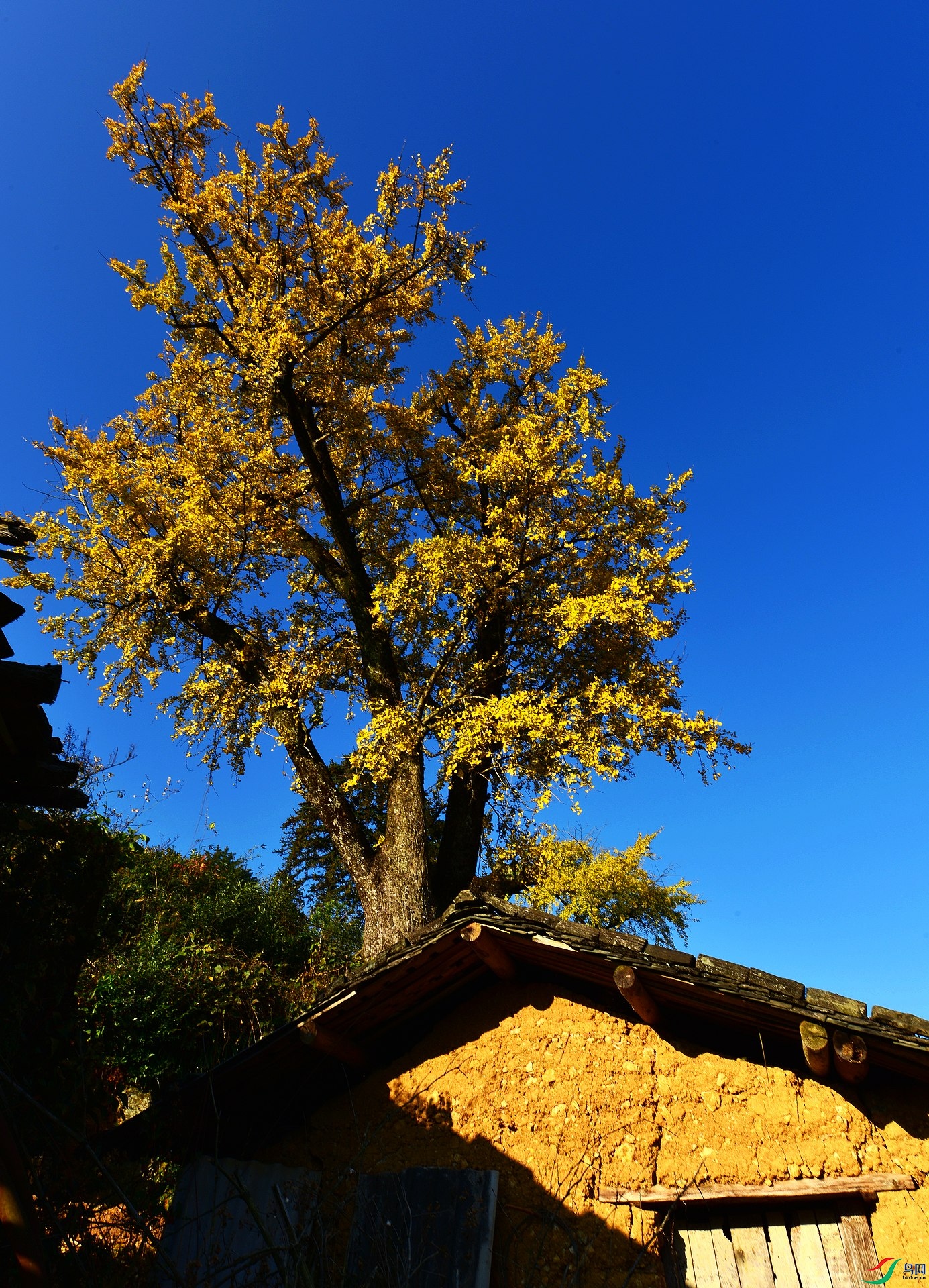 D8I_7495.jpg