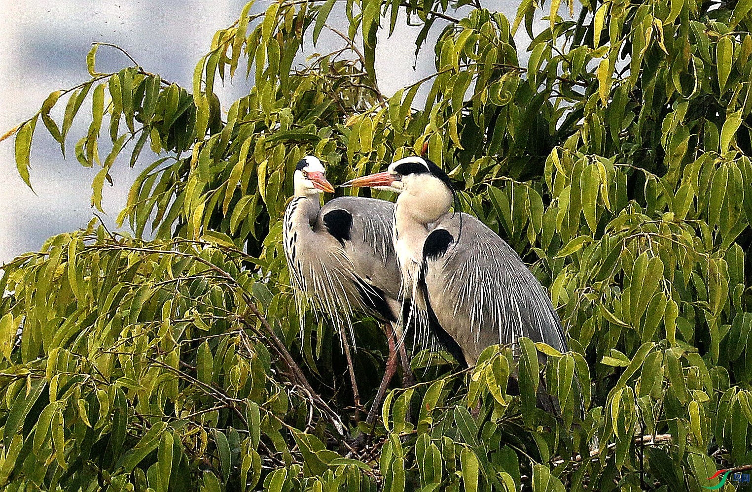 ����˽��