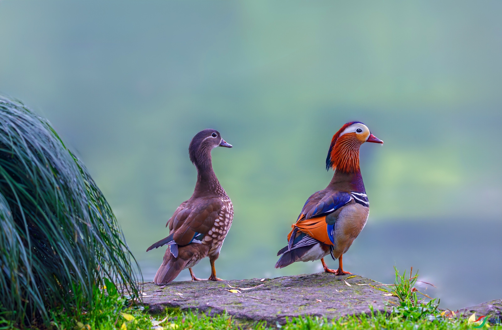 2241 ����.jpg