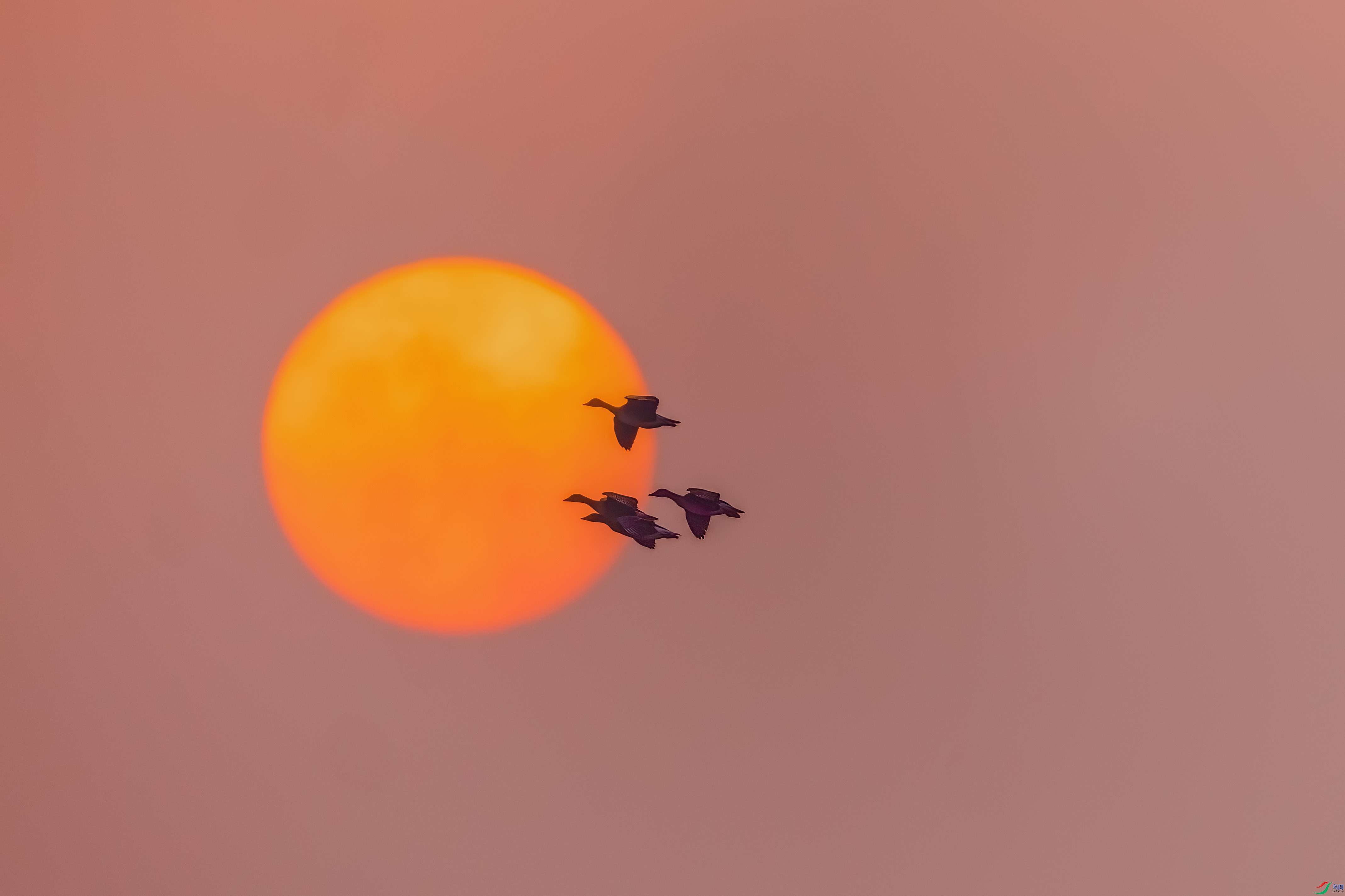 0M3A9330 ����.jpg