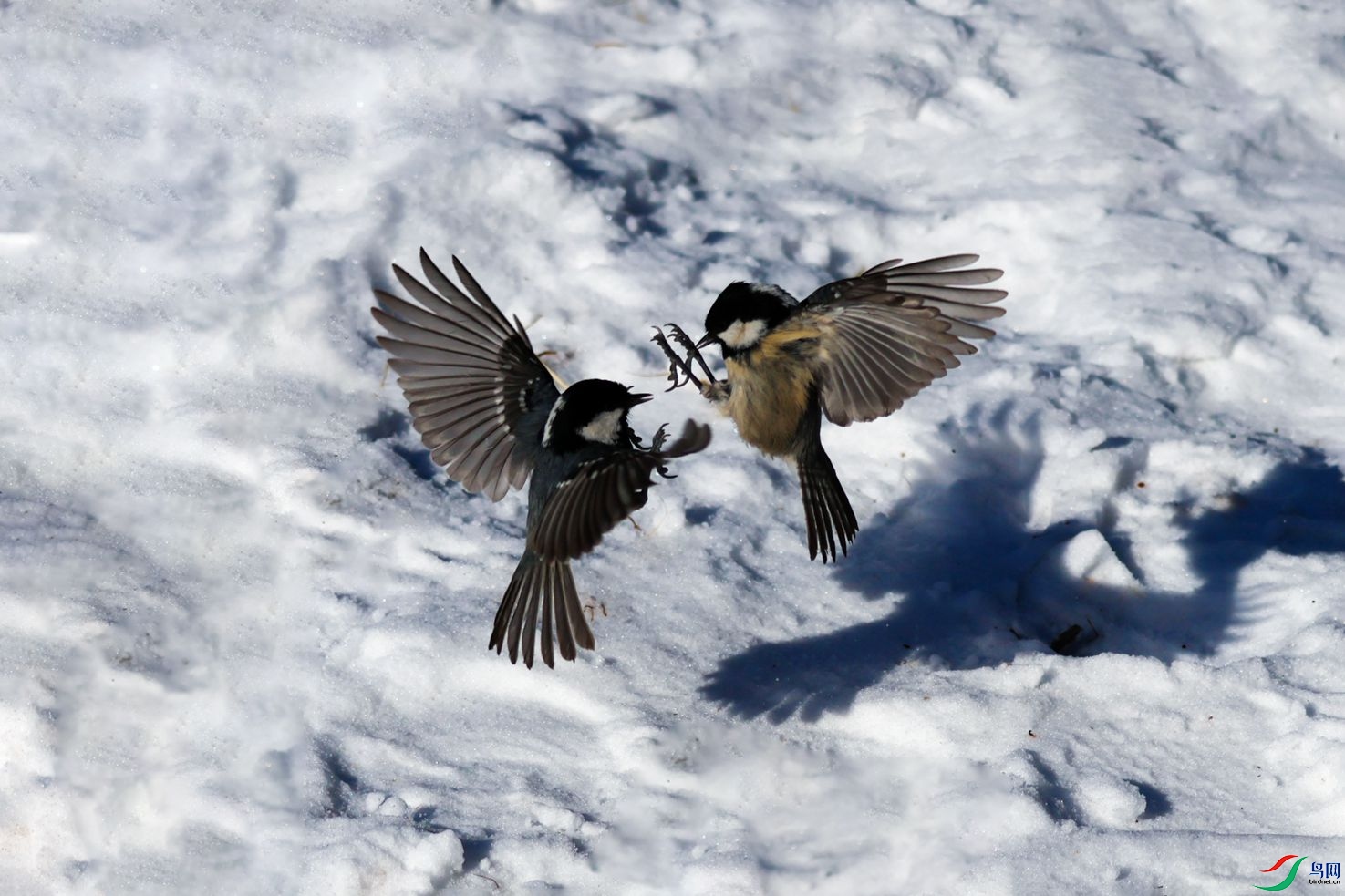 8B7A7471-1_����.jpg