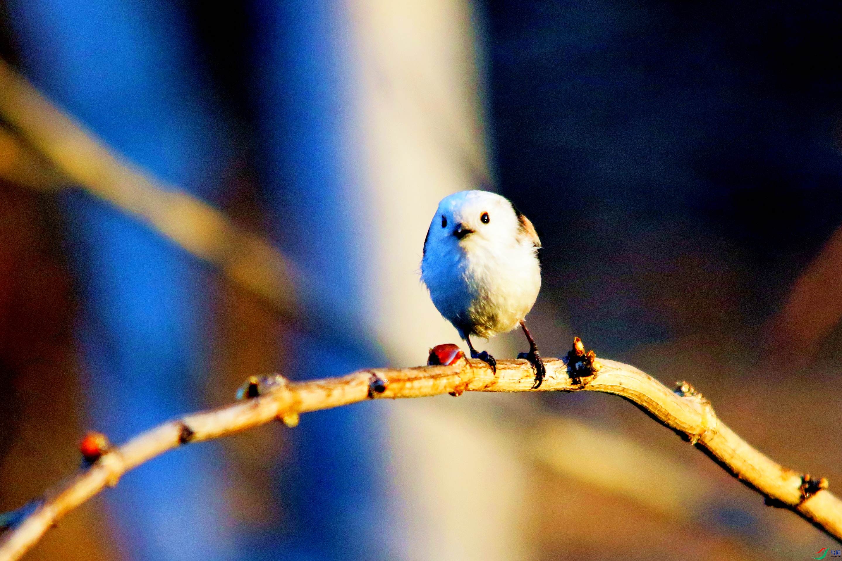 ����βɽȸ (1).jpg