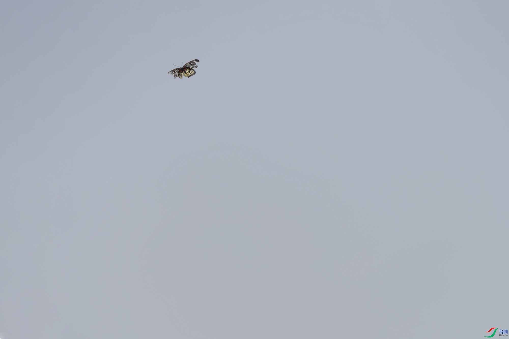 DSC07547.jpg