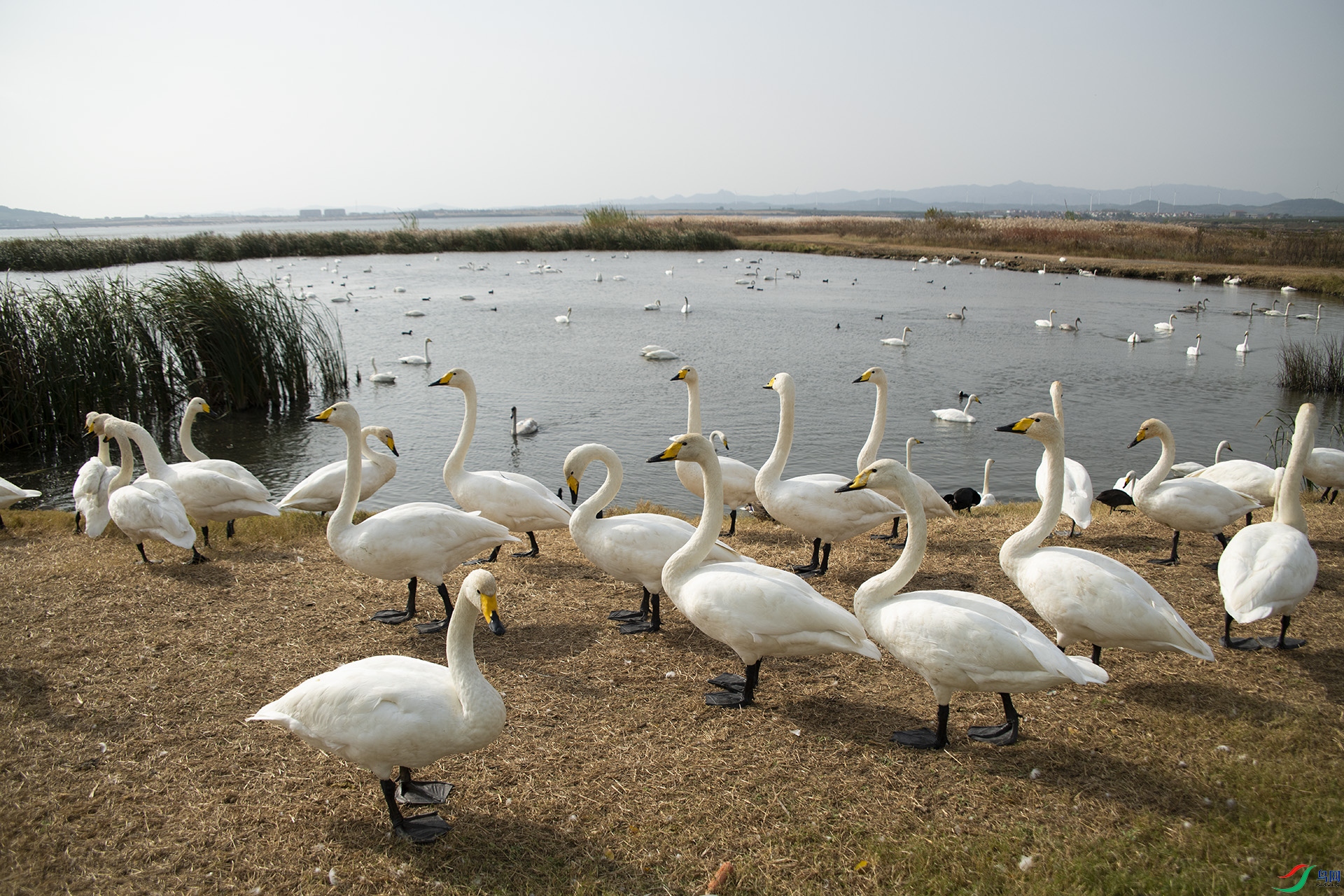 XQD_8436 ����.jpg