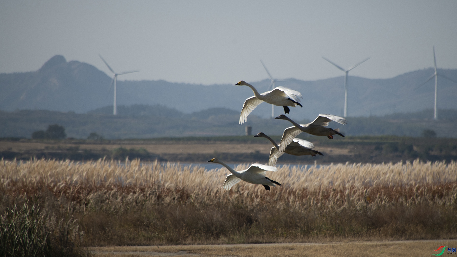 XQD_8802 ����.jpg