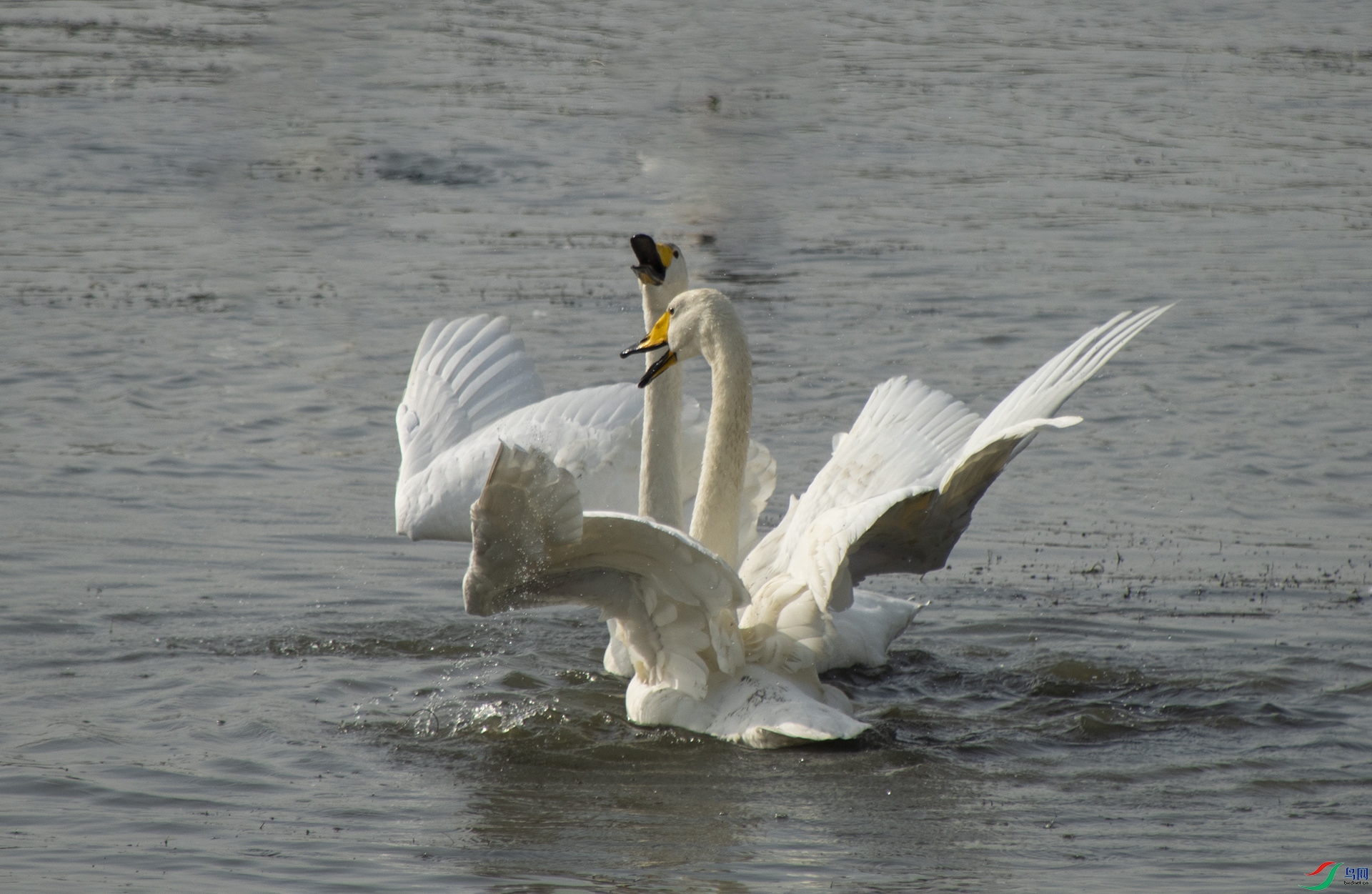 XQD_8247 ����.jpg