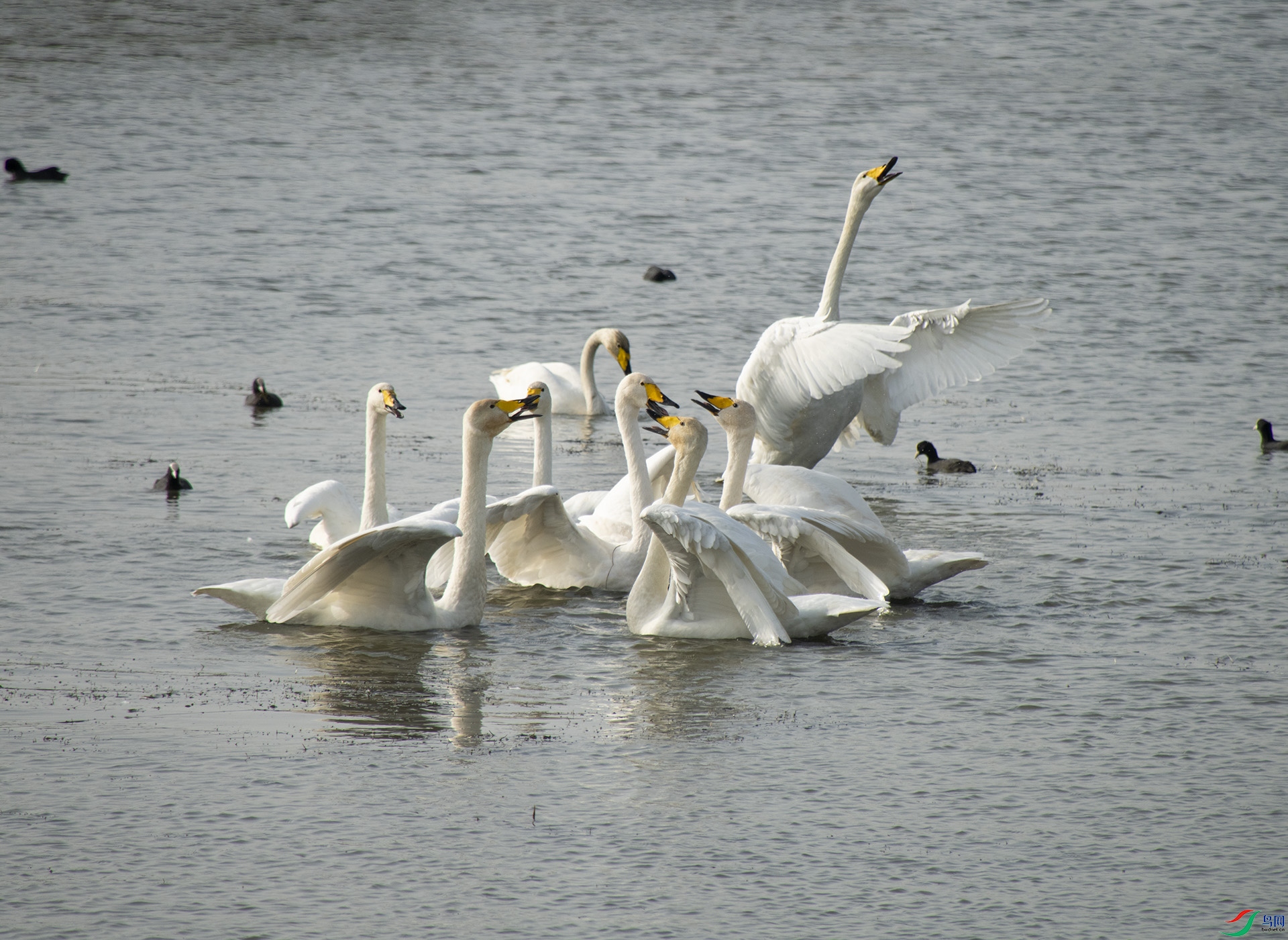 XQD_7850 ����.jpg