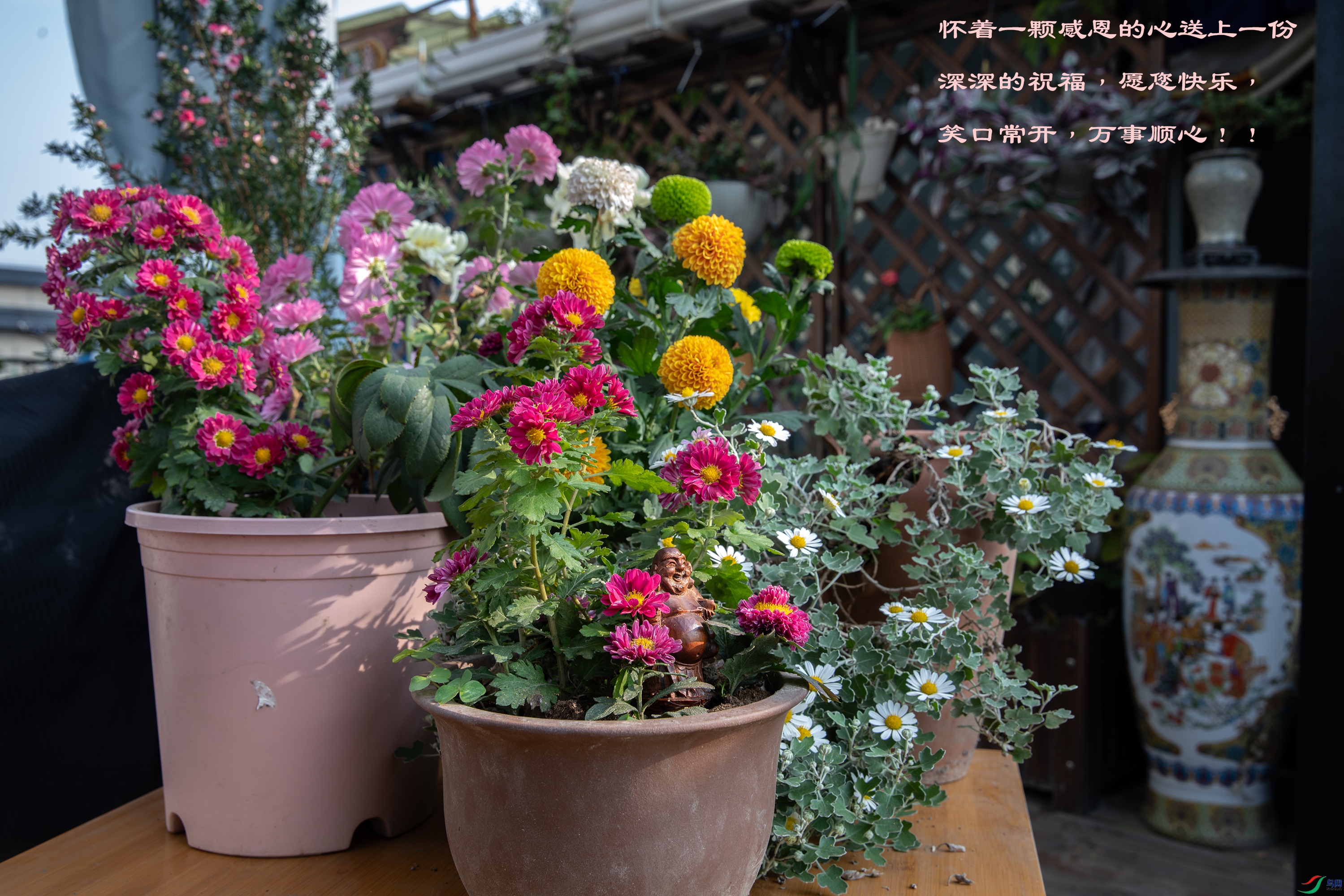 3S5A8172-����ǿ-NR ����.jpg