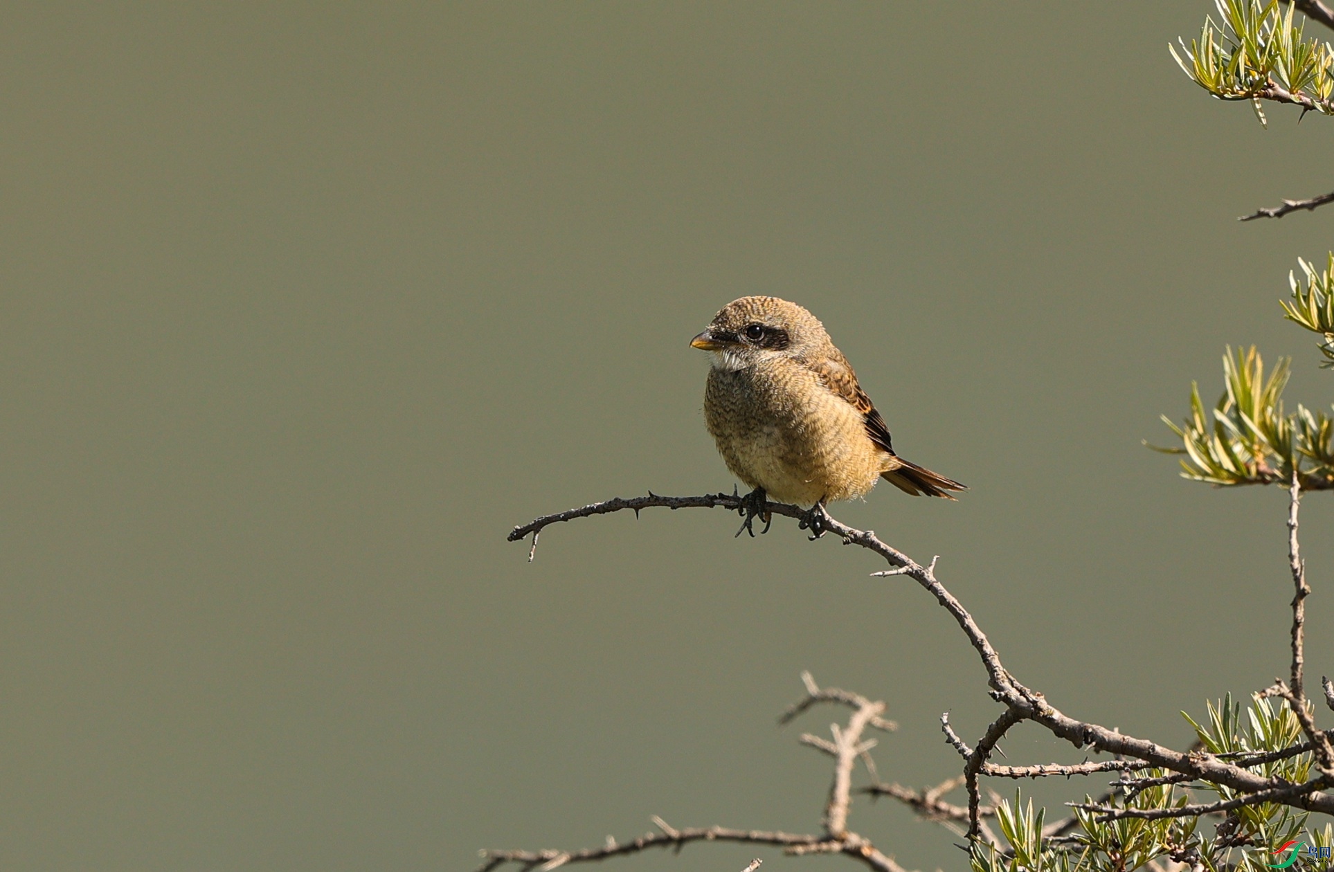 381A0406 - ����.JPG