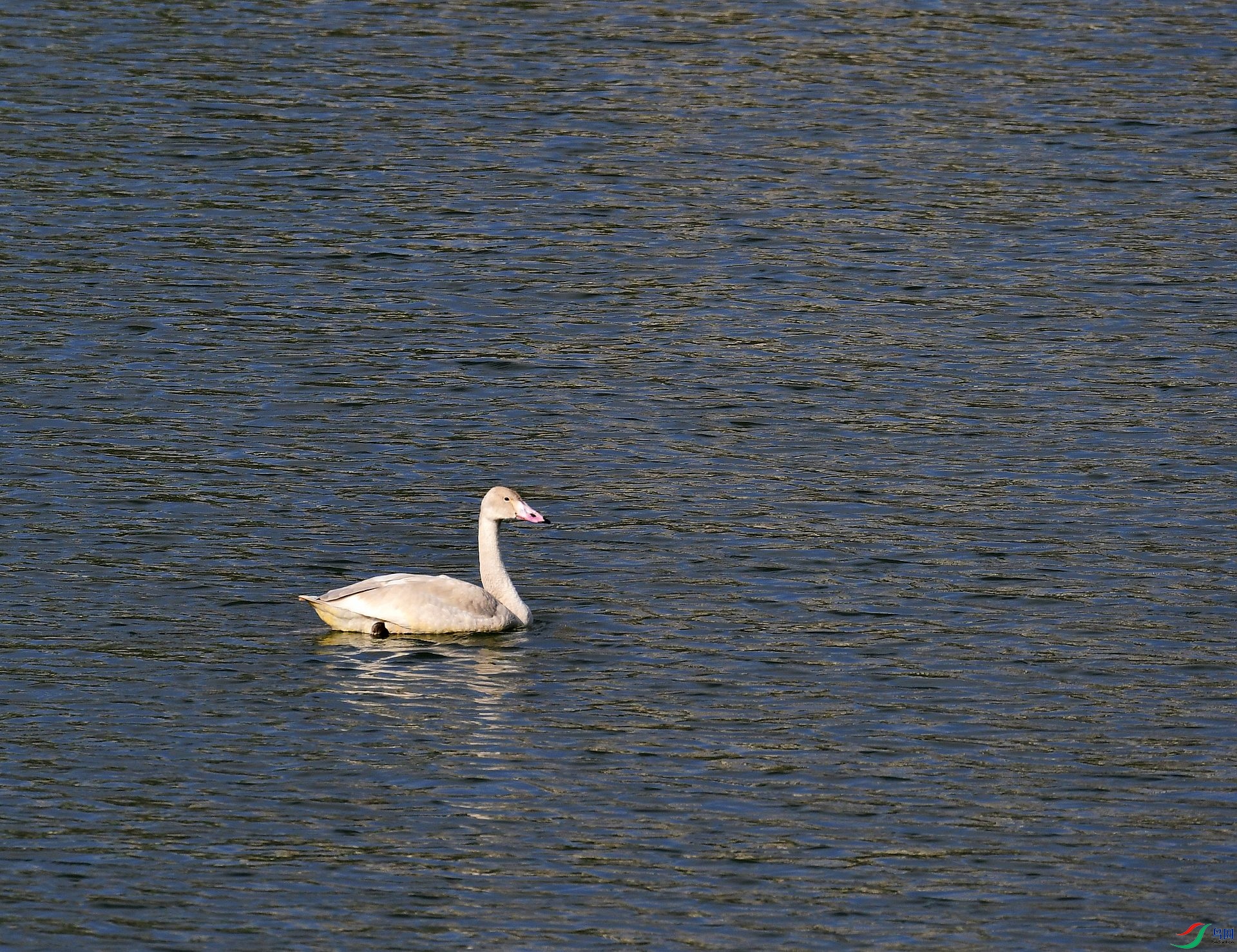 _D5D0157.jpg