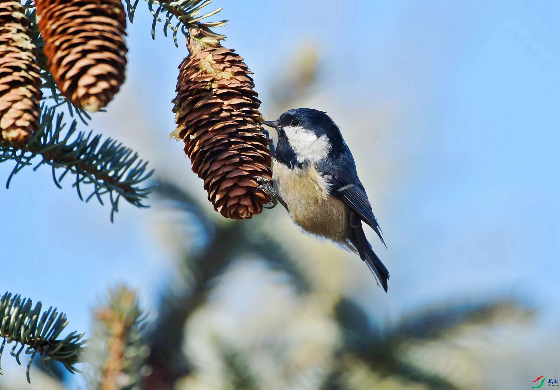 9f76beef2da27e5af67520a7d2b28aa_����.jpg