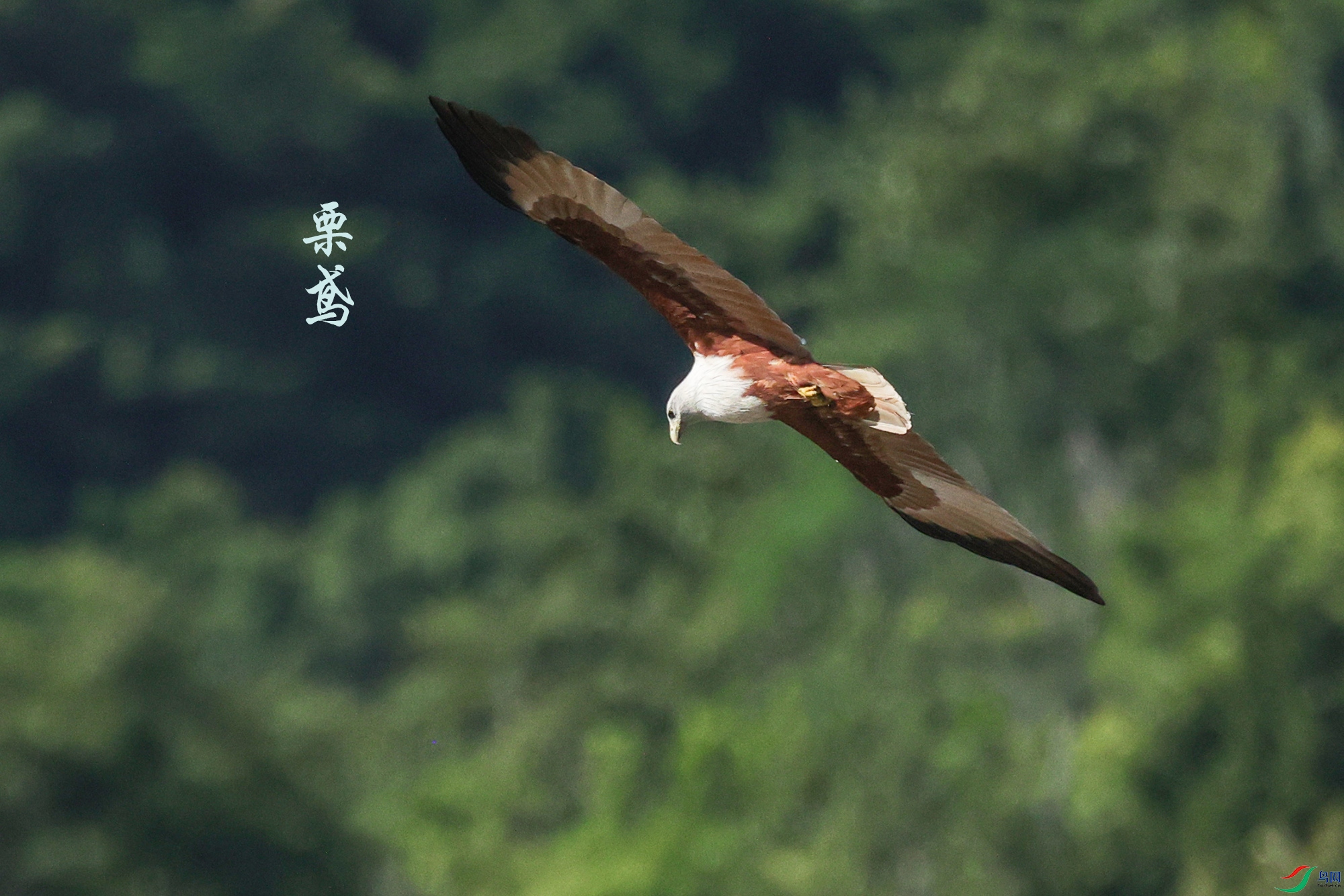 7D9A4193 ����.jpg