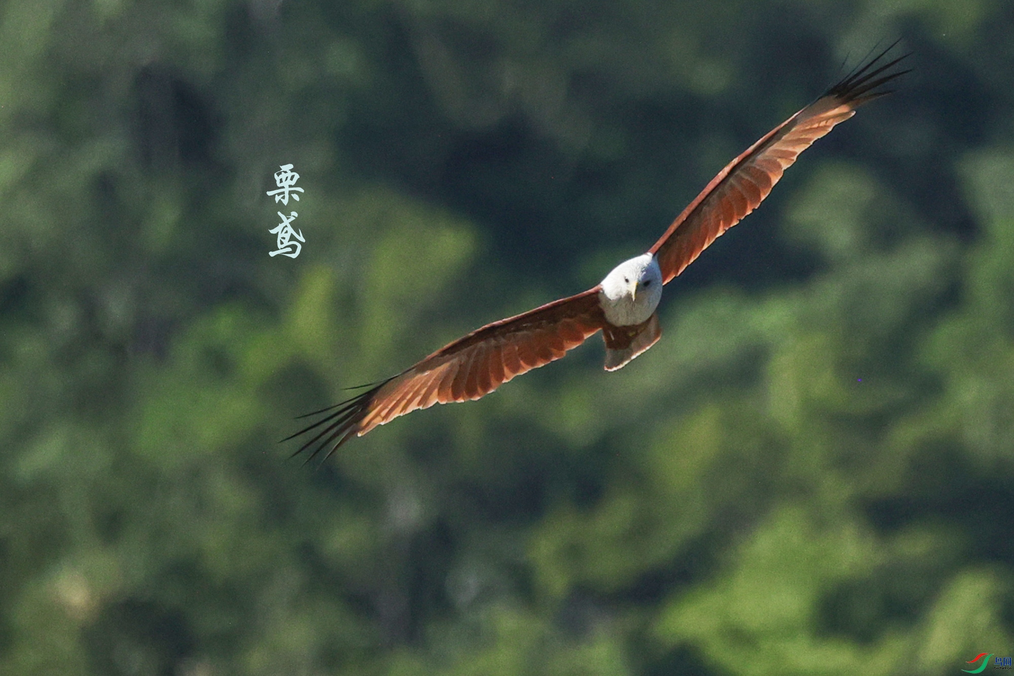 7D9A4194 ����.jpg