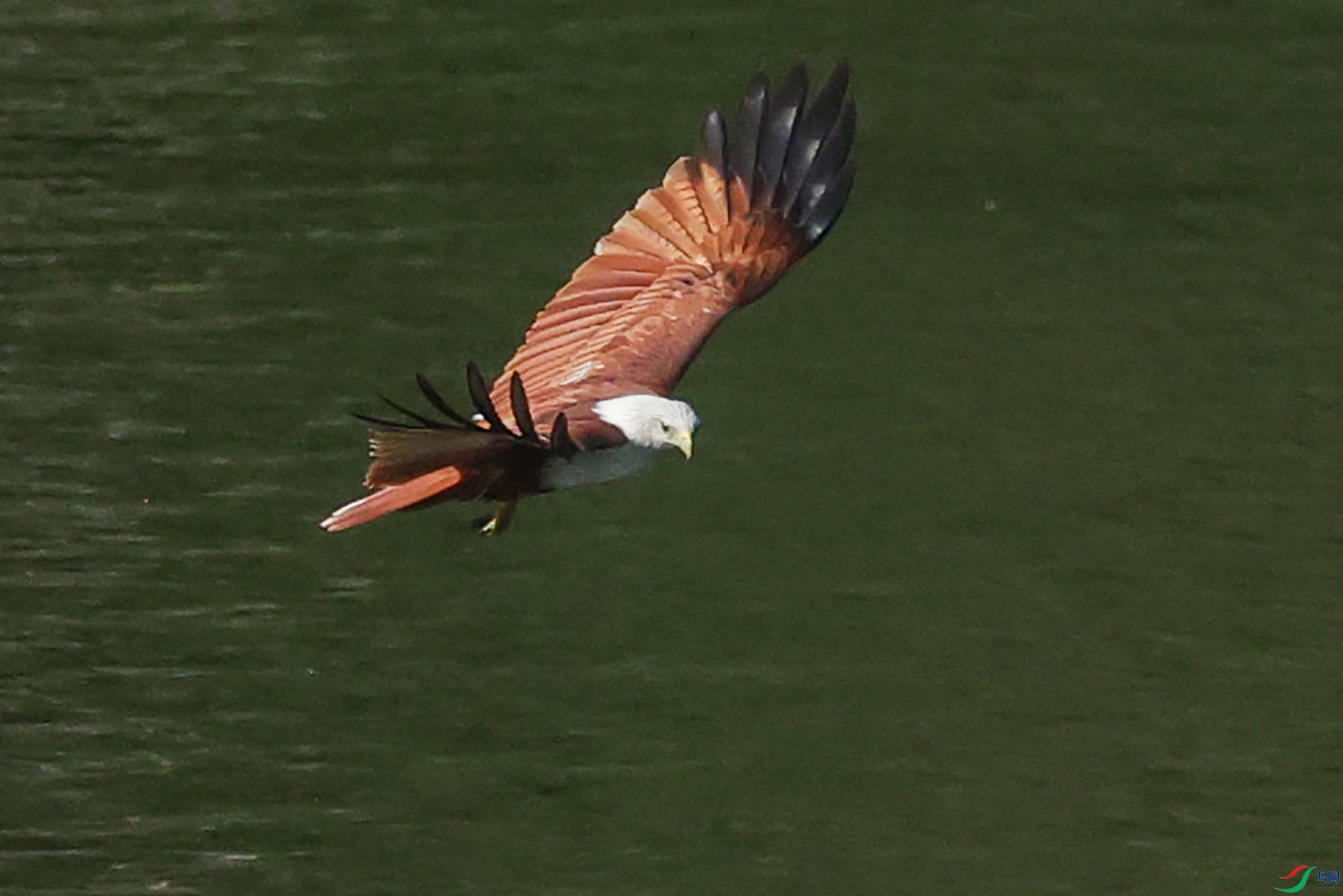 7D9A4280 ����.jpg