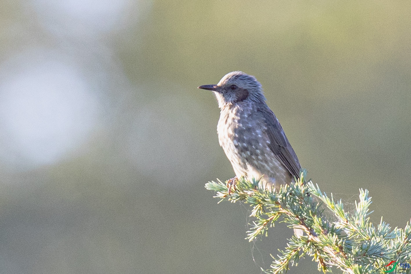 _90I5975 ����.jpg