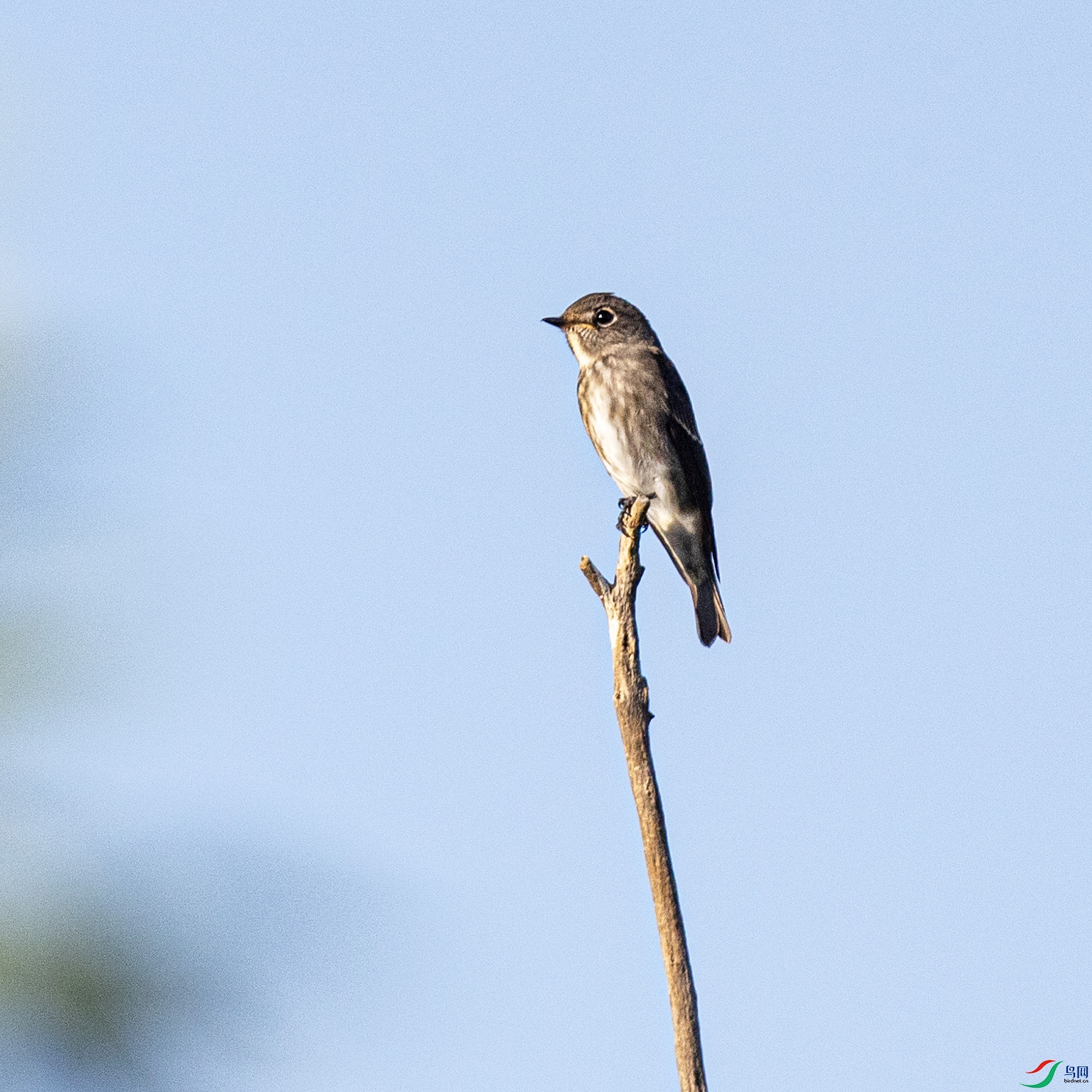 _90I6024 ����.jpg