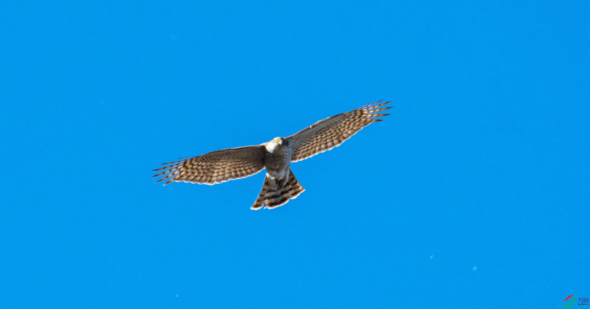 DSC_3567.jpg