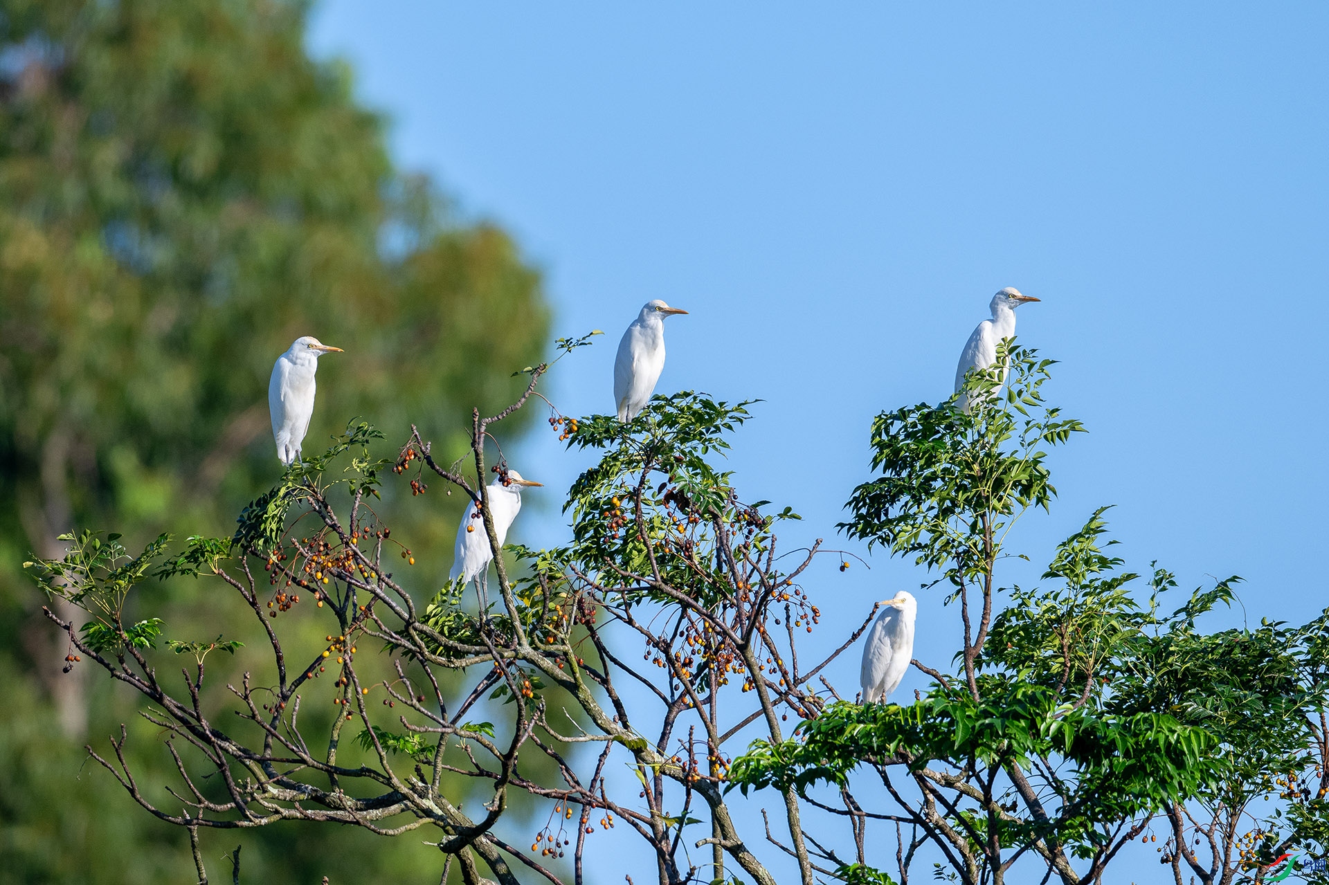 DSC_0751.jpg