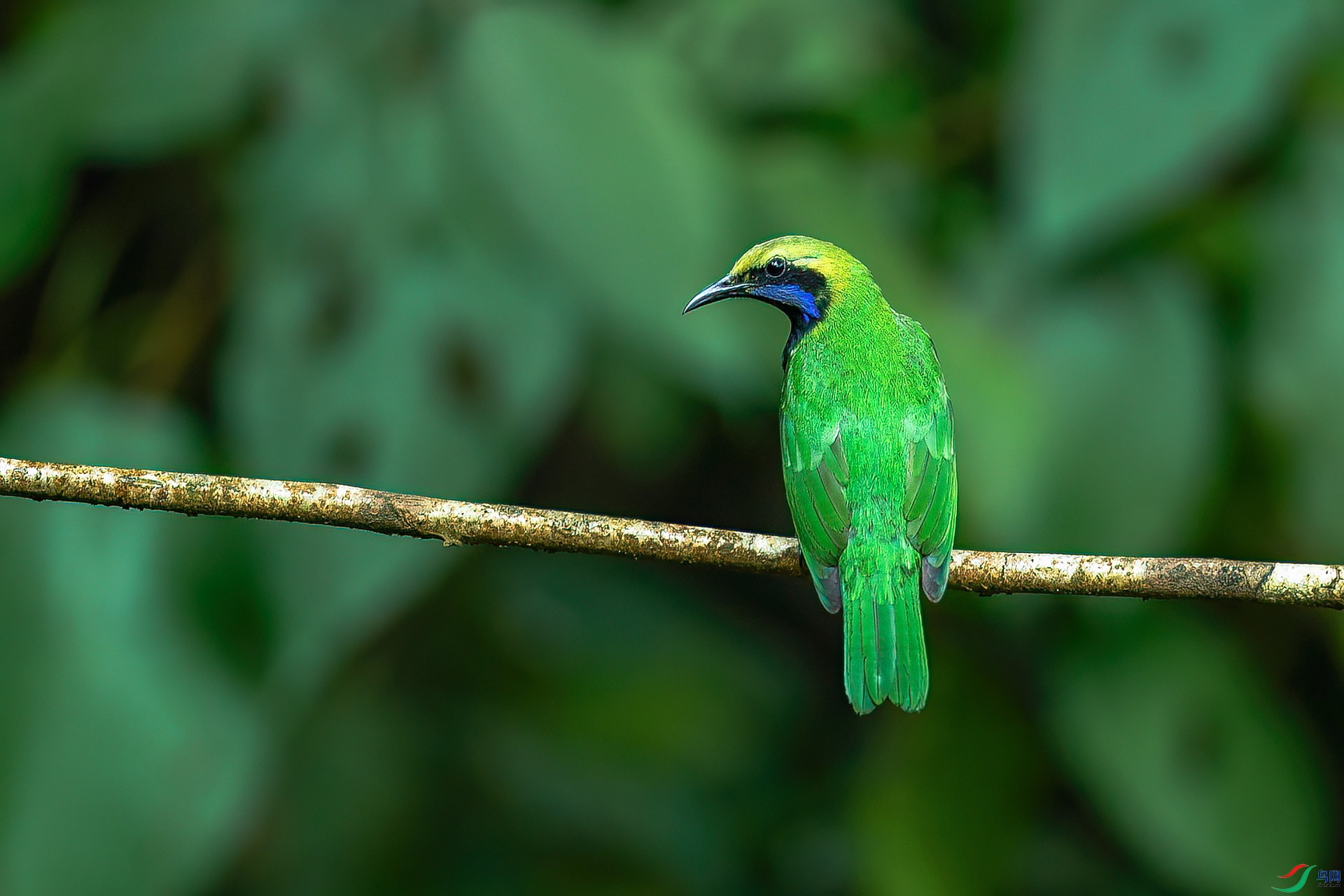 DSC_3257.jpg