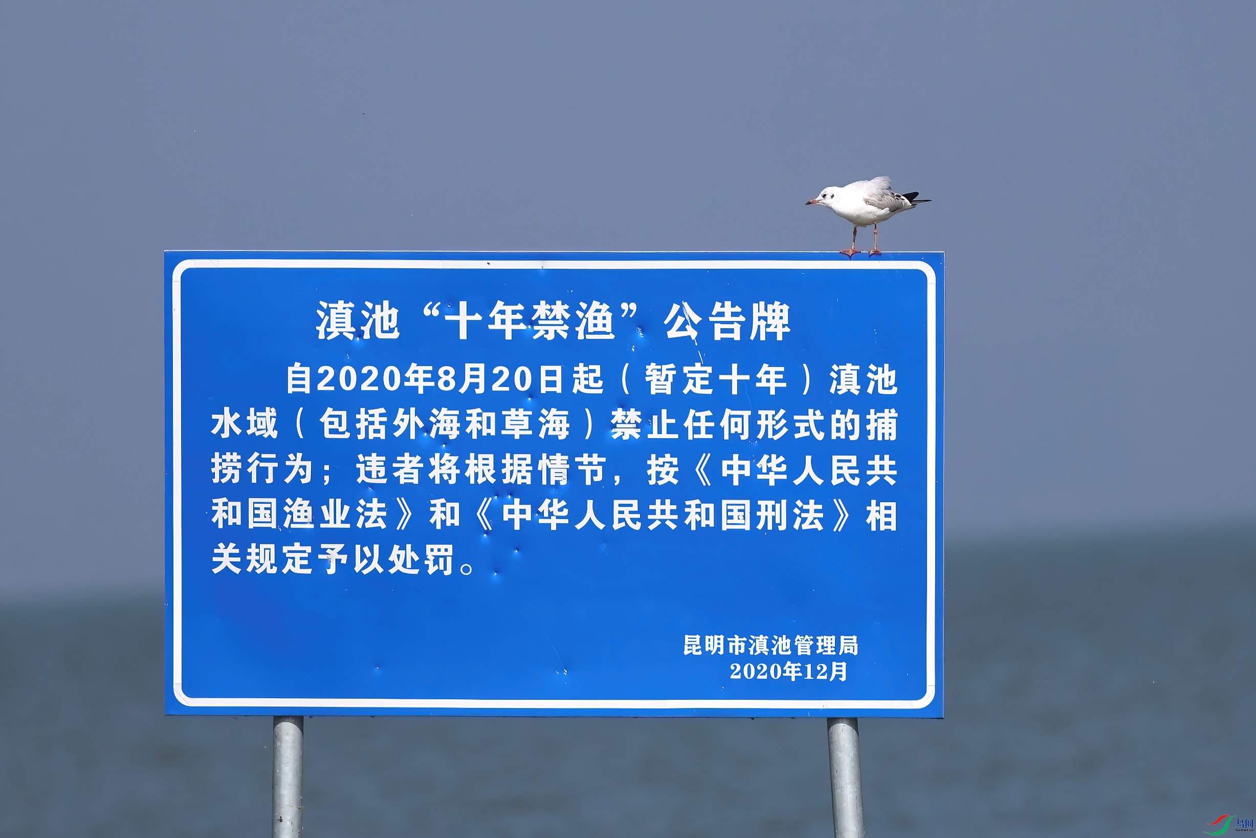 ����Ÿ������