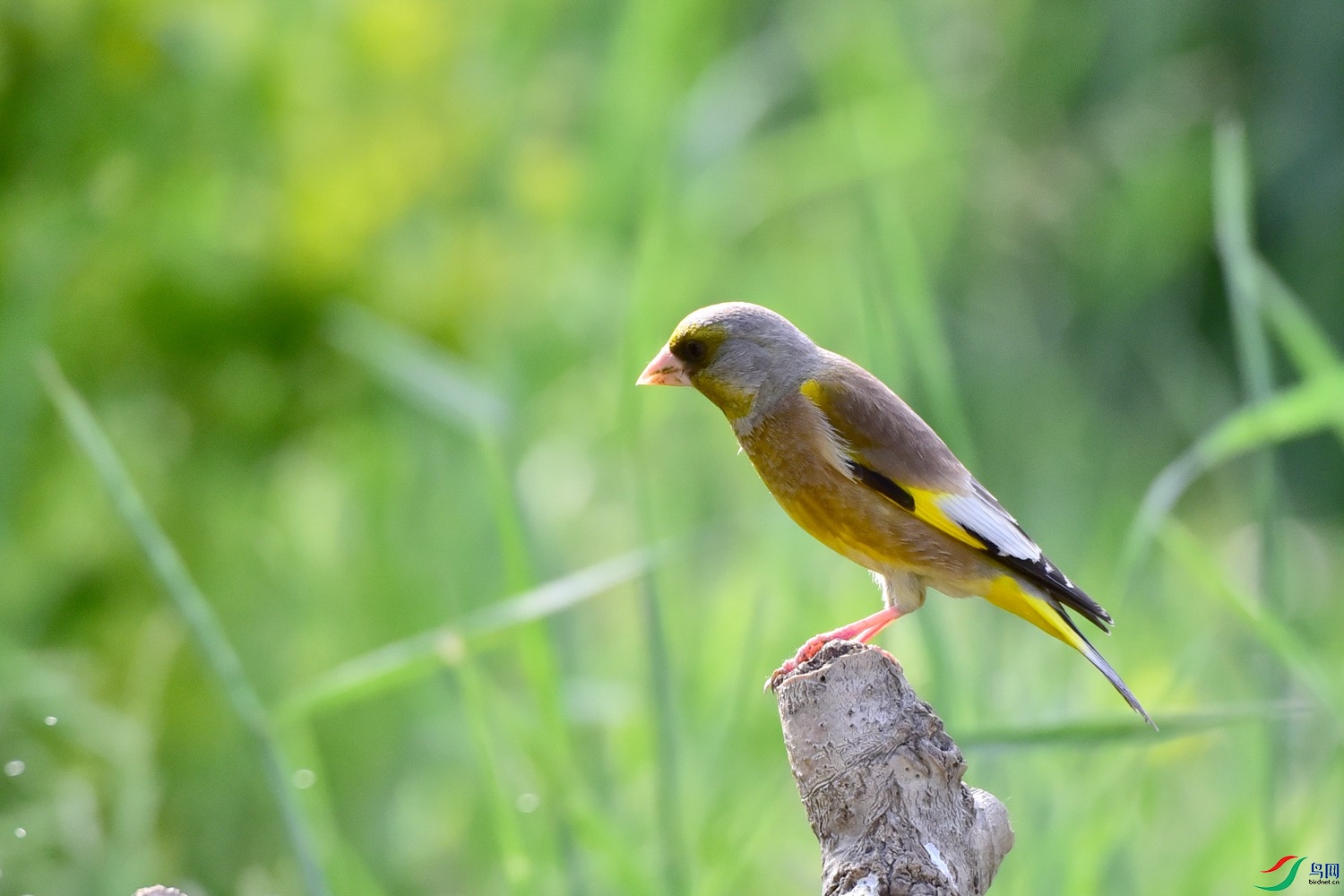 DSC_1207.JPG