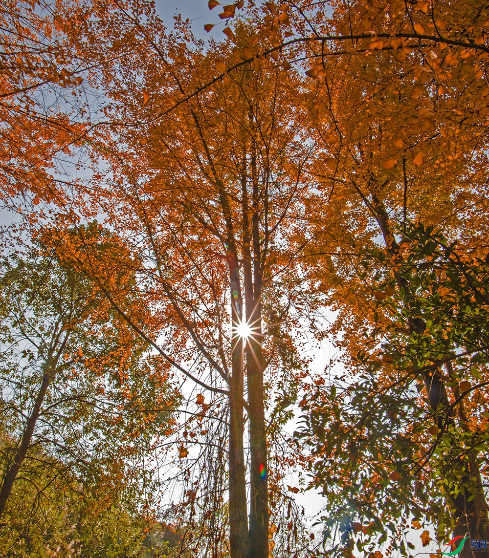 IMG_1284-0F.jpg