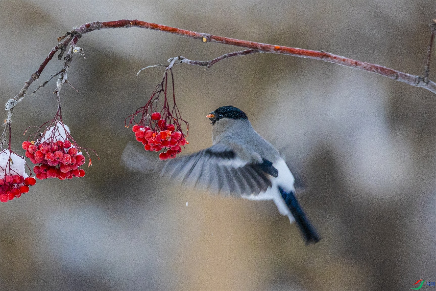 1K3A1329 ����1.jpg