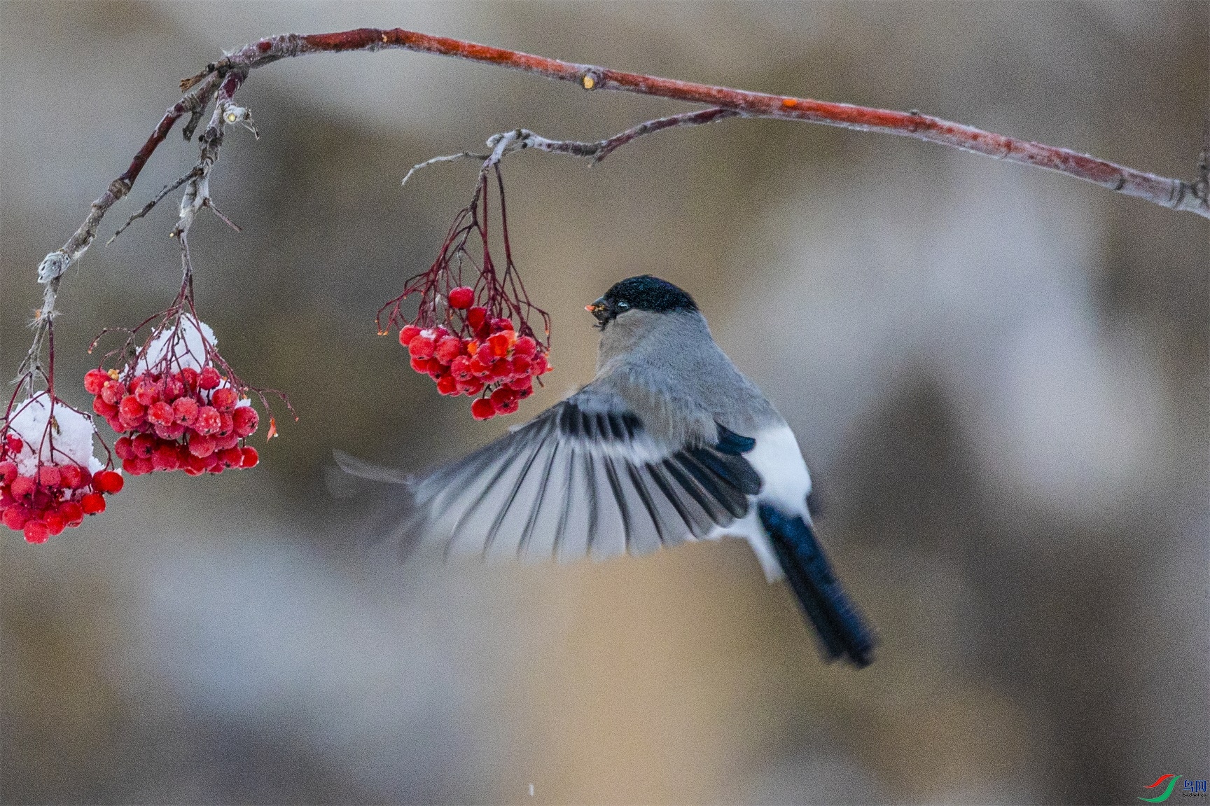 1K3A1328 ����1.jpg