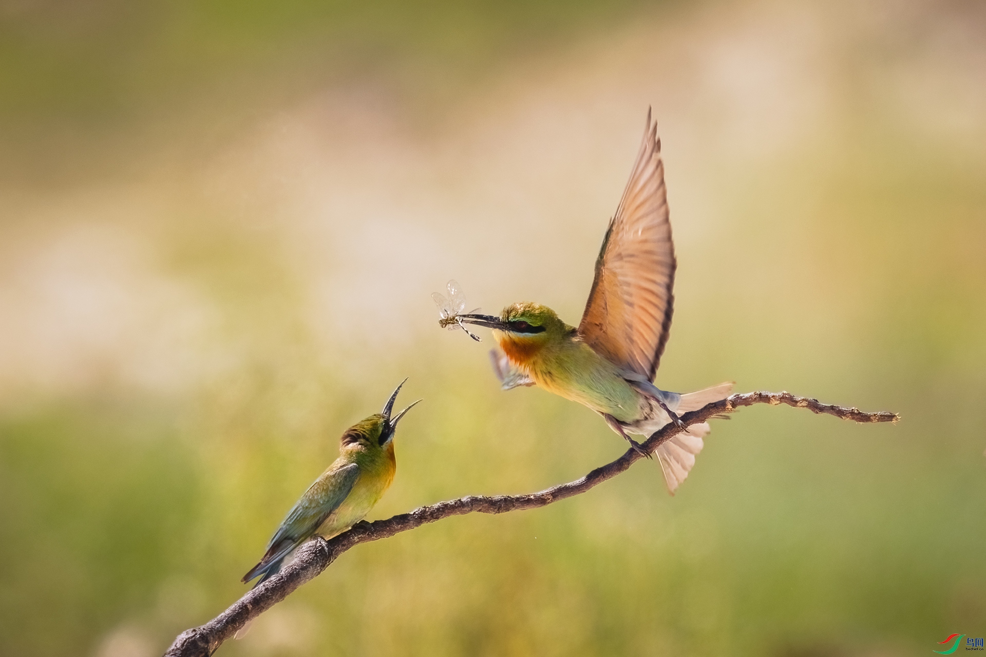 A75A0892-�༭ ����.jpg