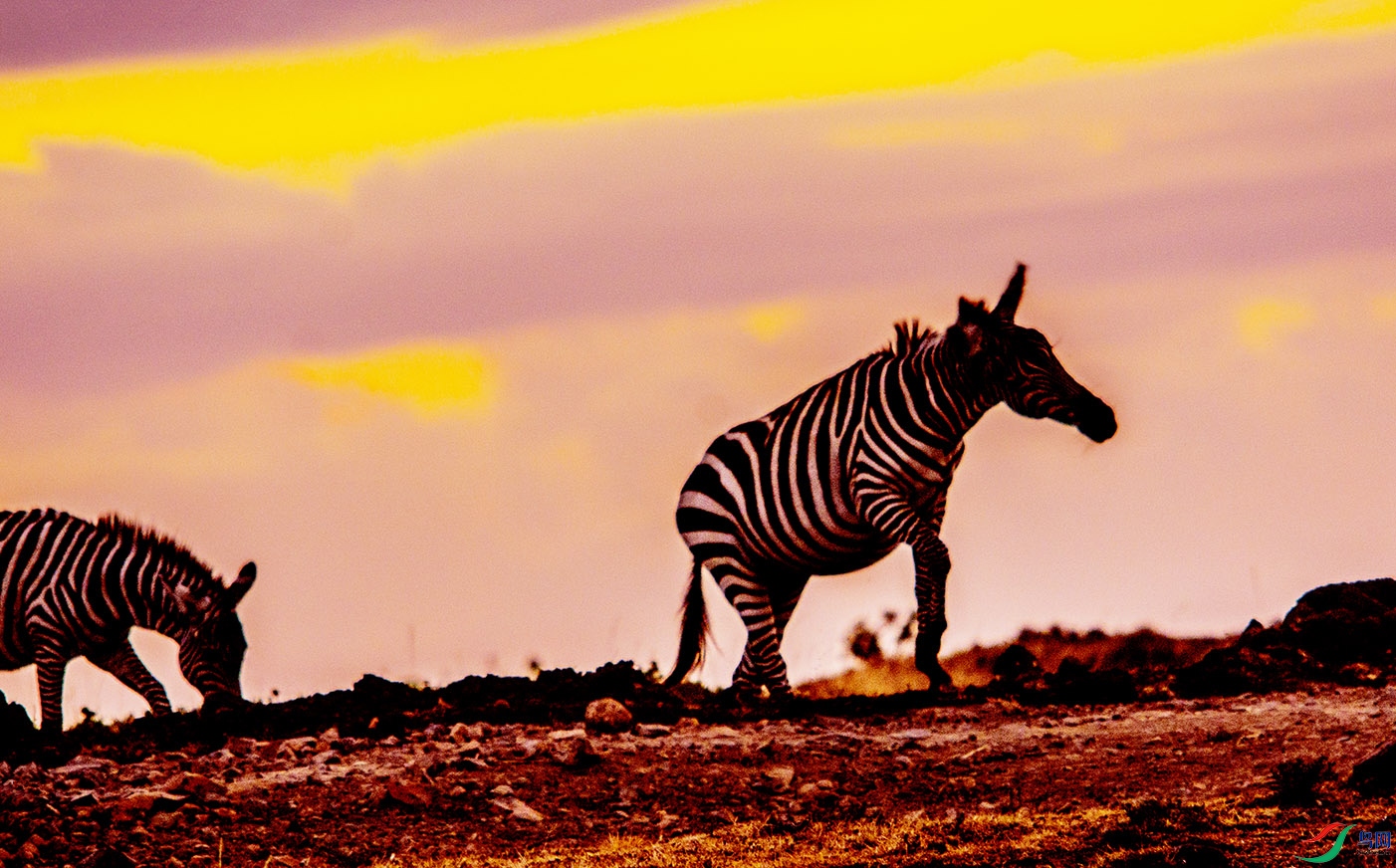 DSC_4209.jpg