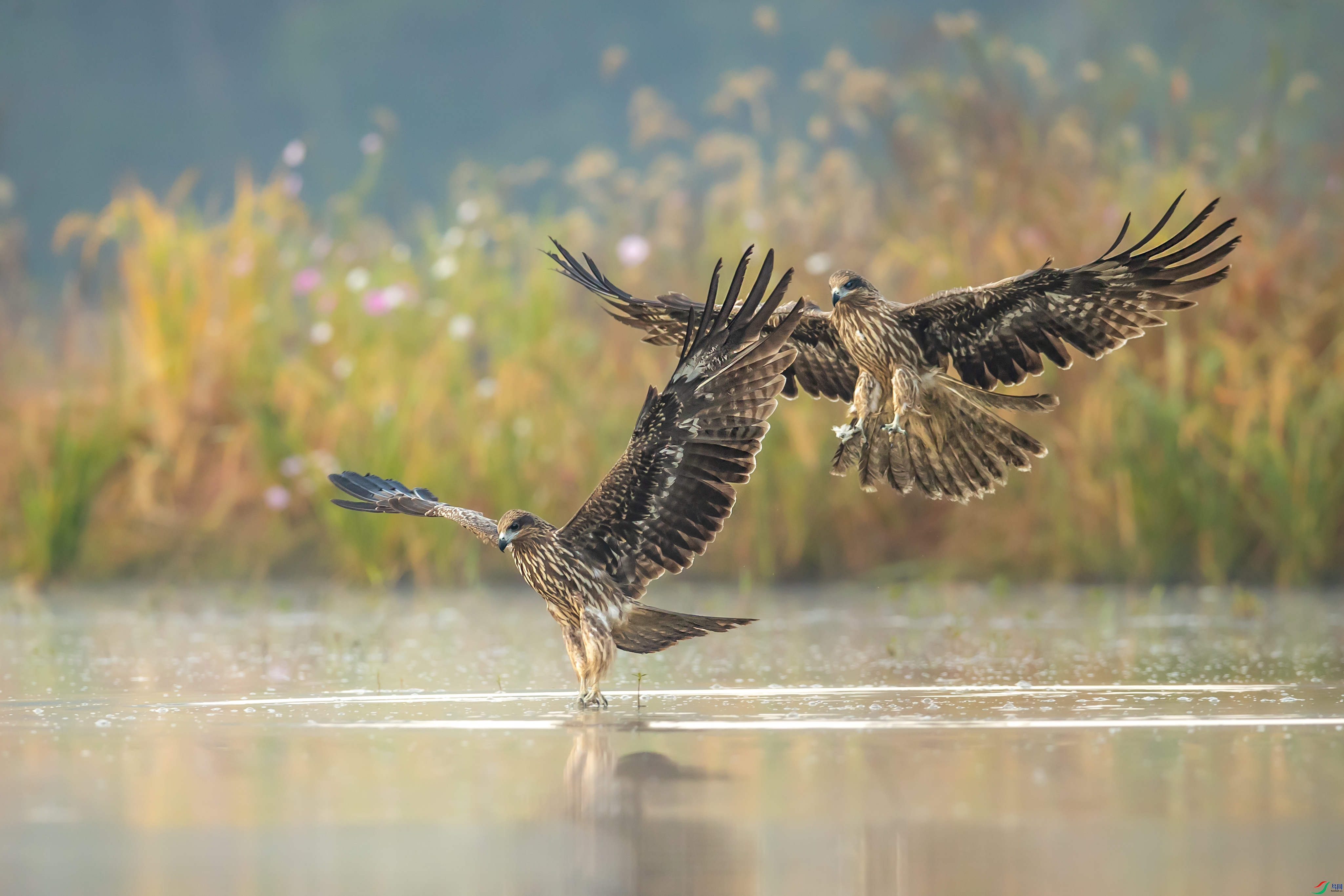 A05I6546 ����.jpg