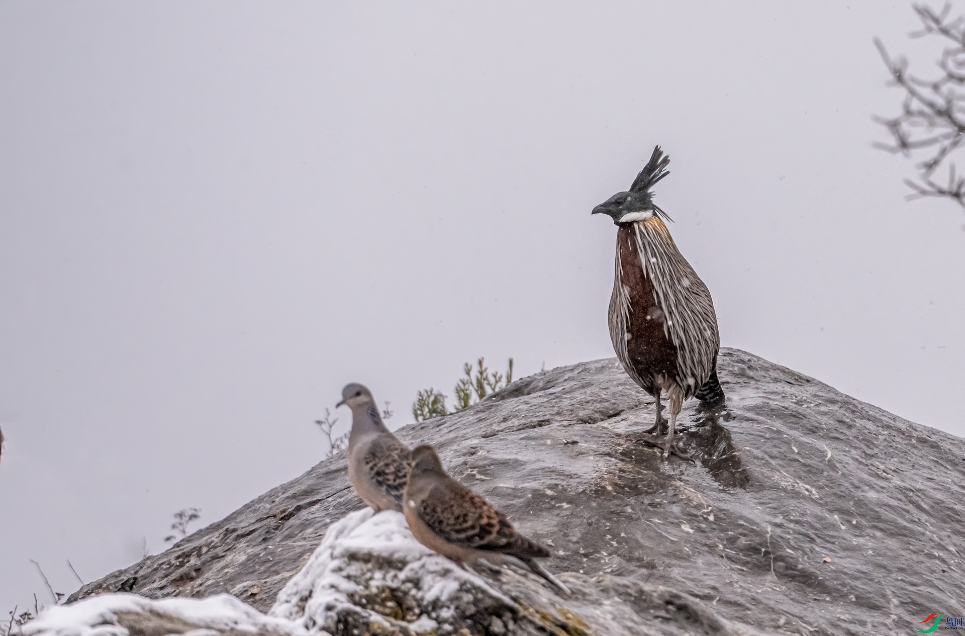 DSC_2027-21.jpg